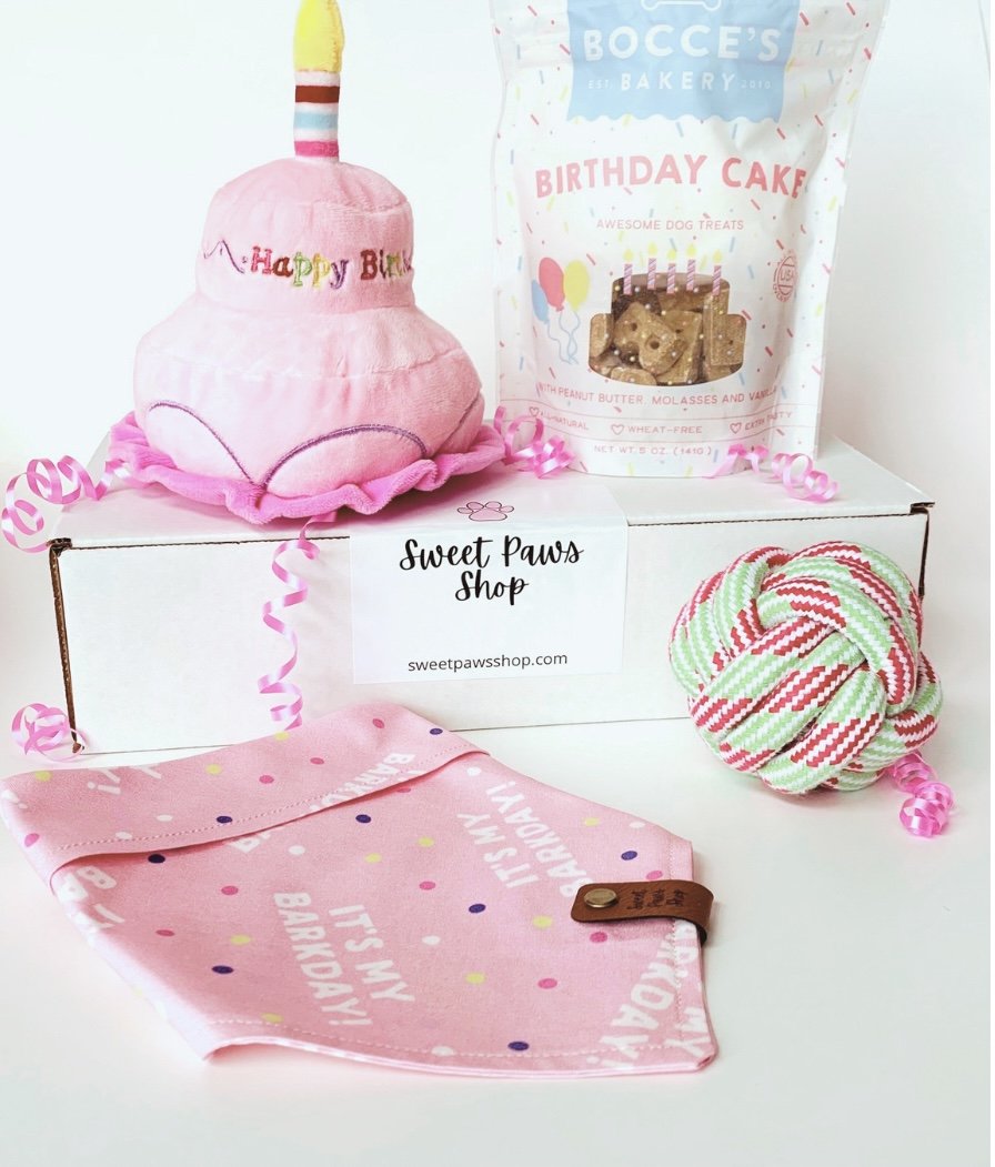 dog birthday cake bandana box