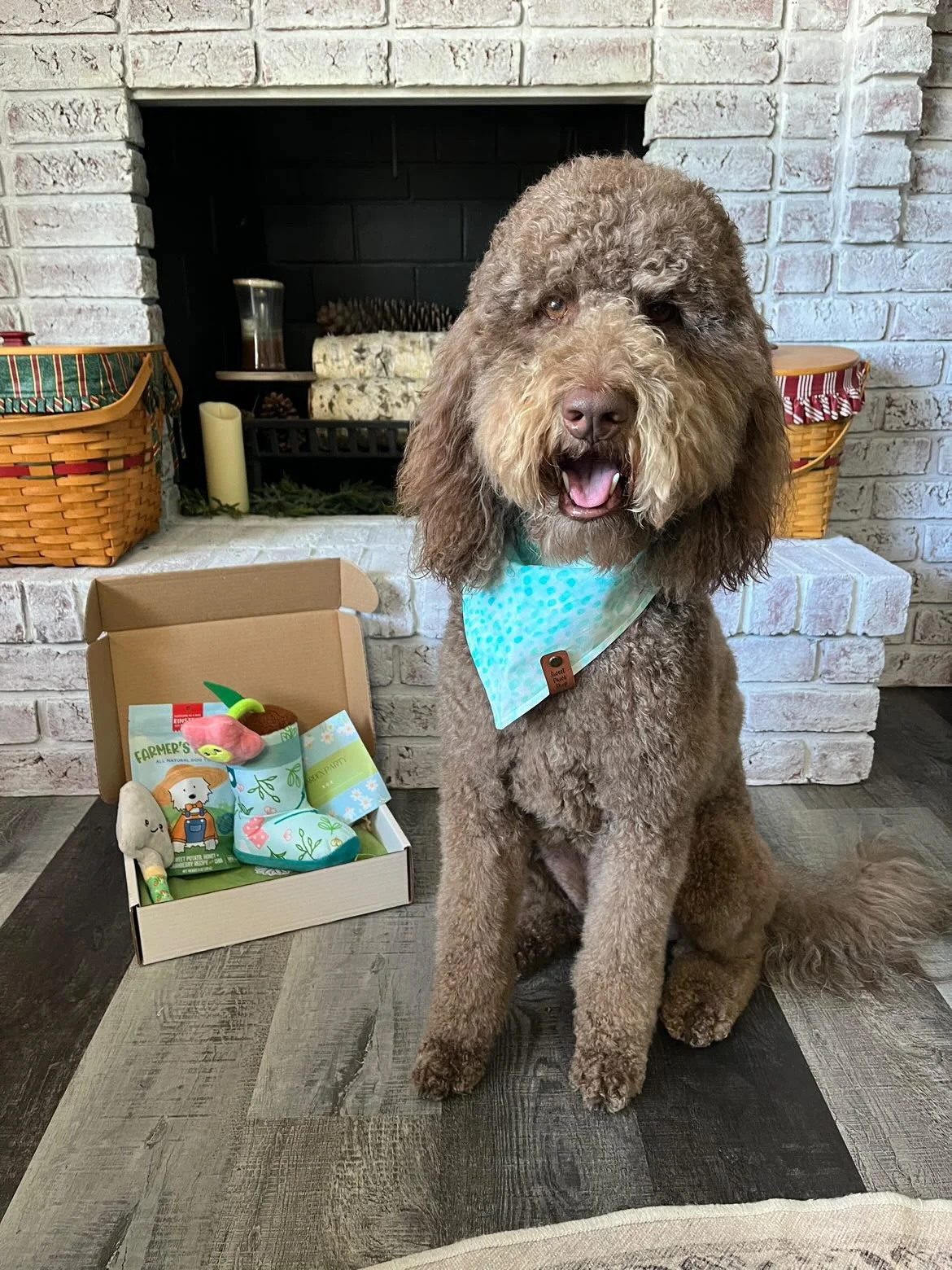 Meet our friends that love Sweet Paws Shop!