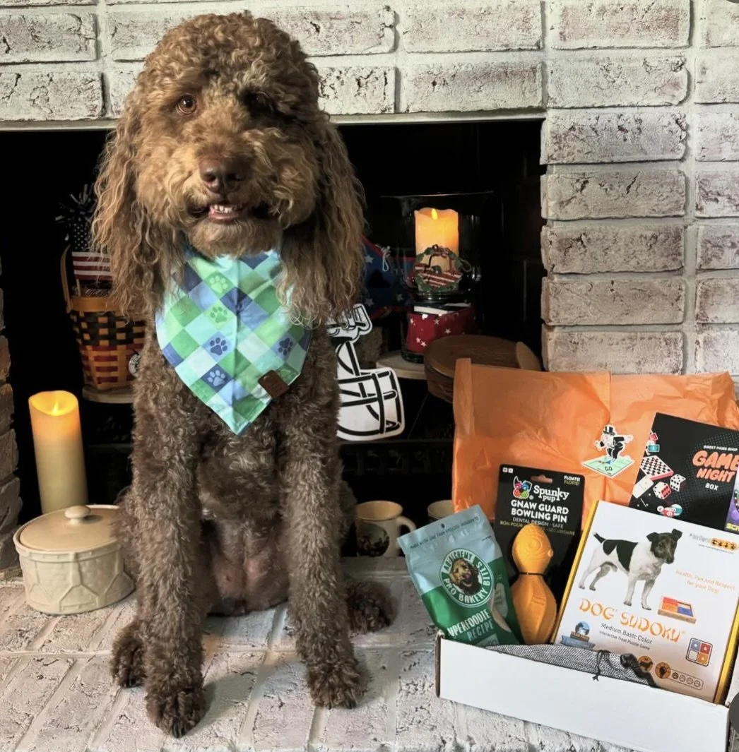 A brown curly-haired dog wearing a green and blue checkered bandana sitting in front of a fireplace with lit candles, surrounded by a gift box called sweet paws box, filled with dog toys, USA made treats and a dog bandanna .