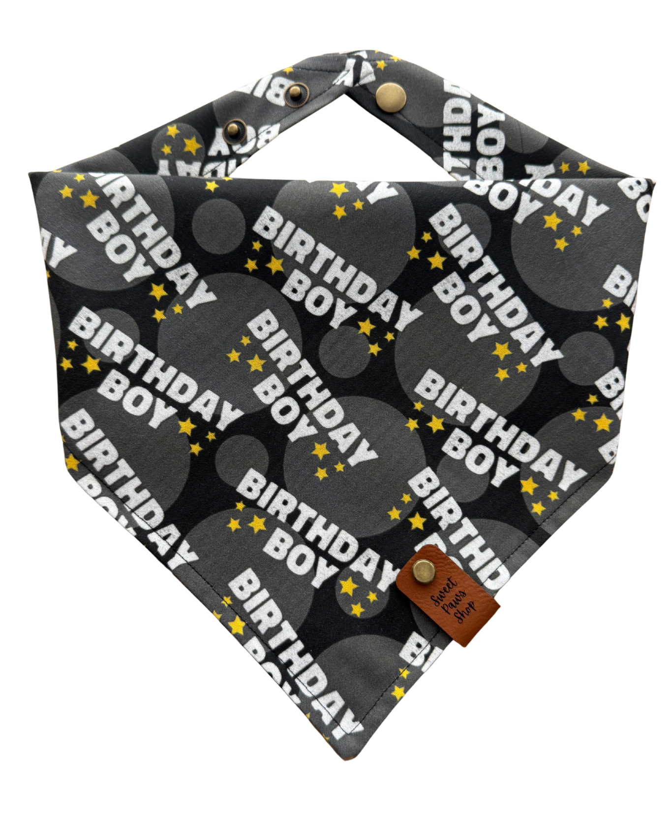 Birthday Boy Dog Bandana