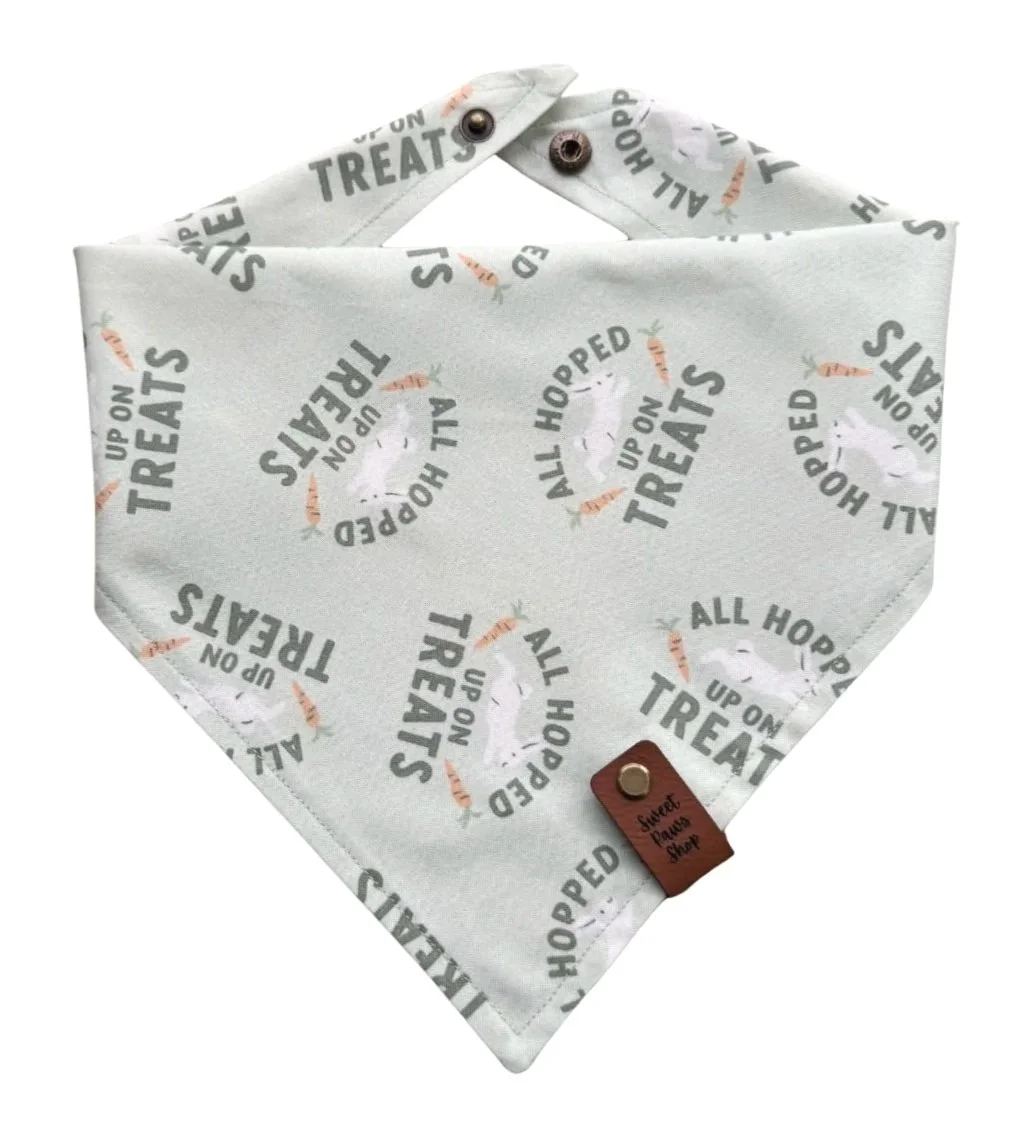 Hopped Up Dog Bandana