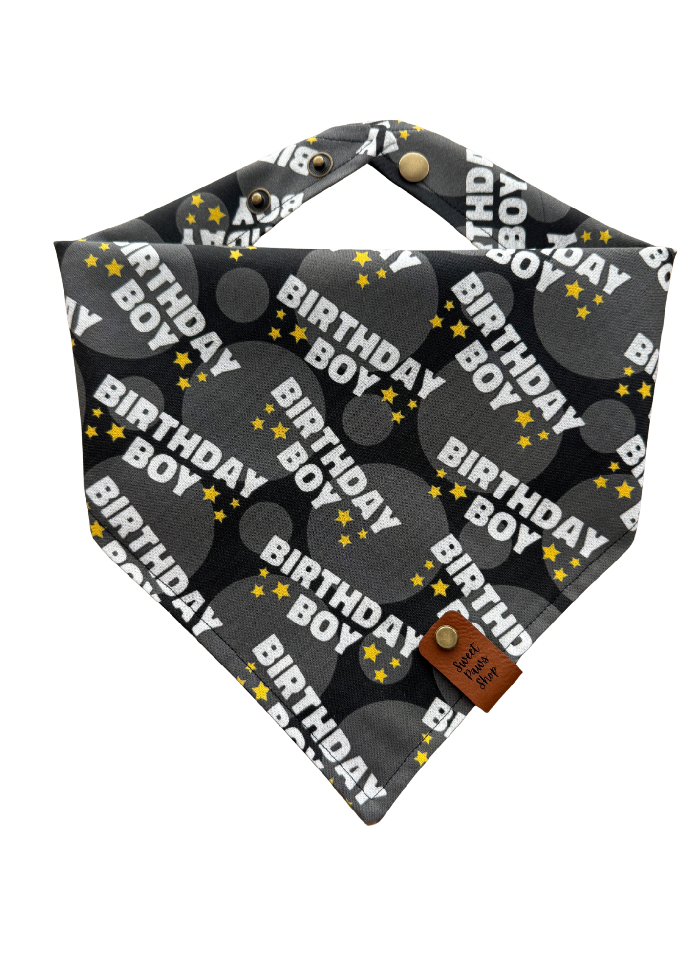 Birthday Boy Dog Bandana