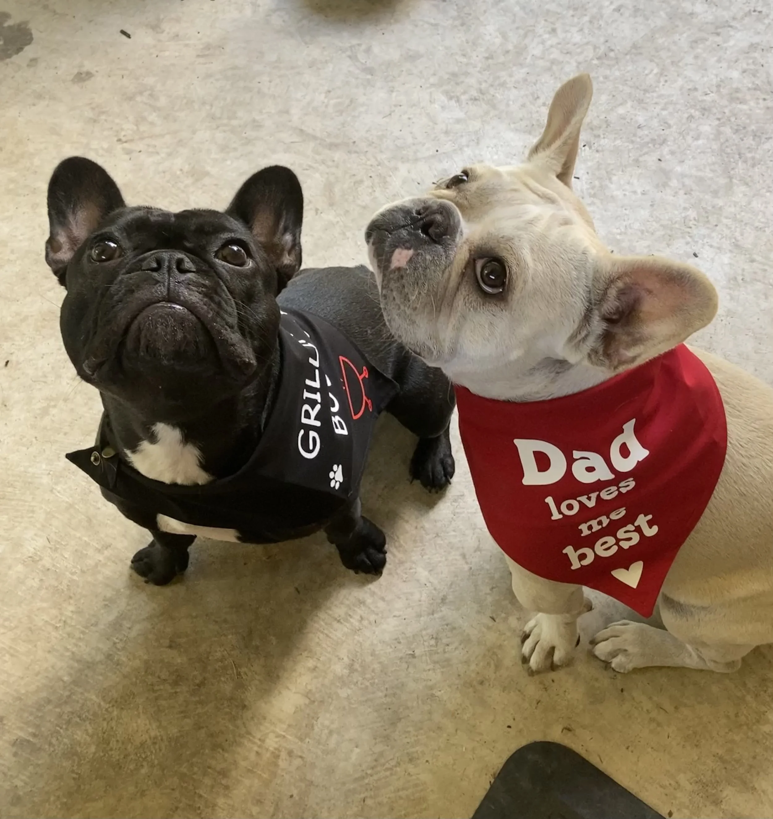 Meet our friends that love Sweet Paws Shop!