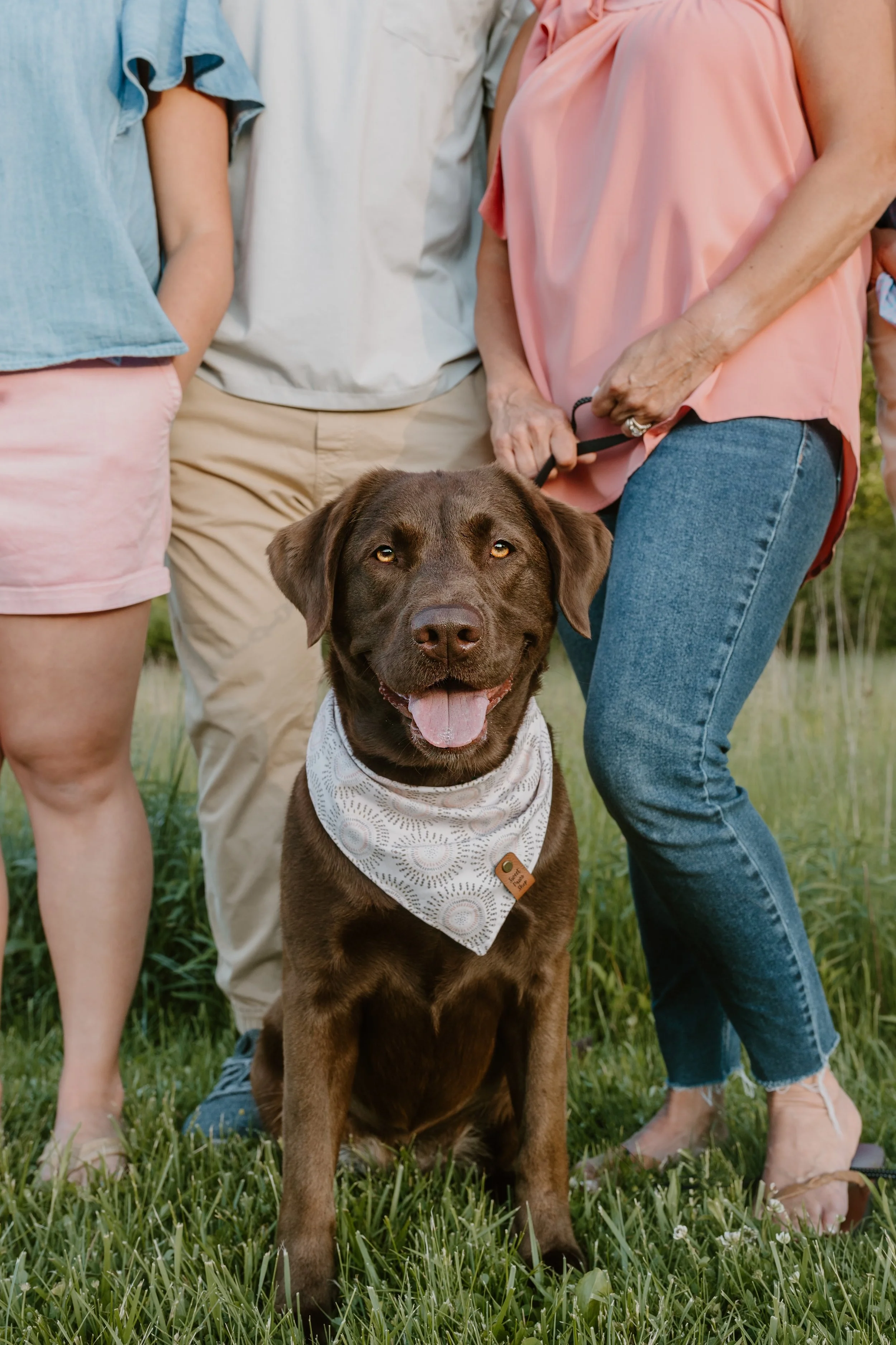 Meet our friends that love Sweet Paws Shop!