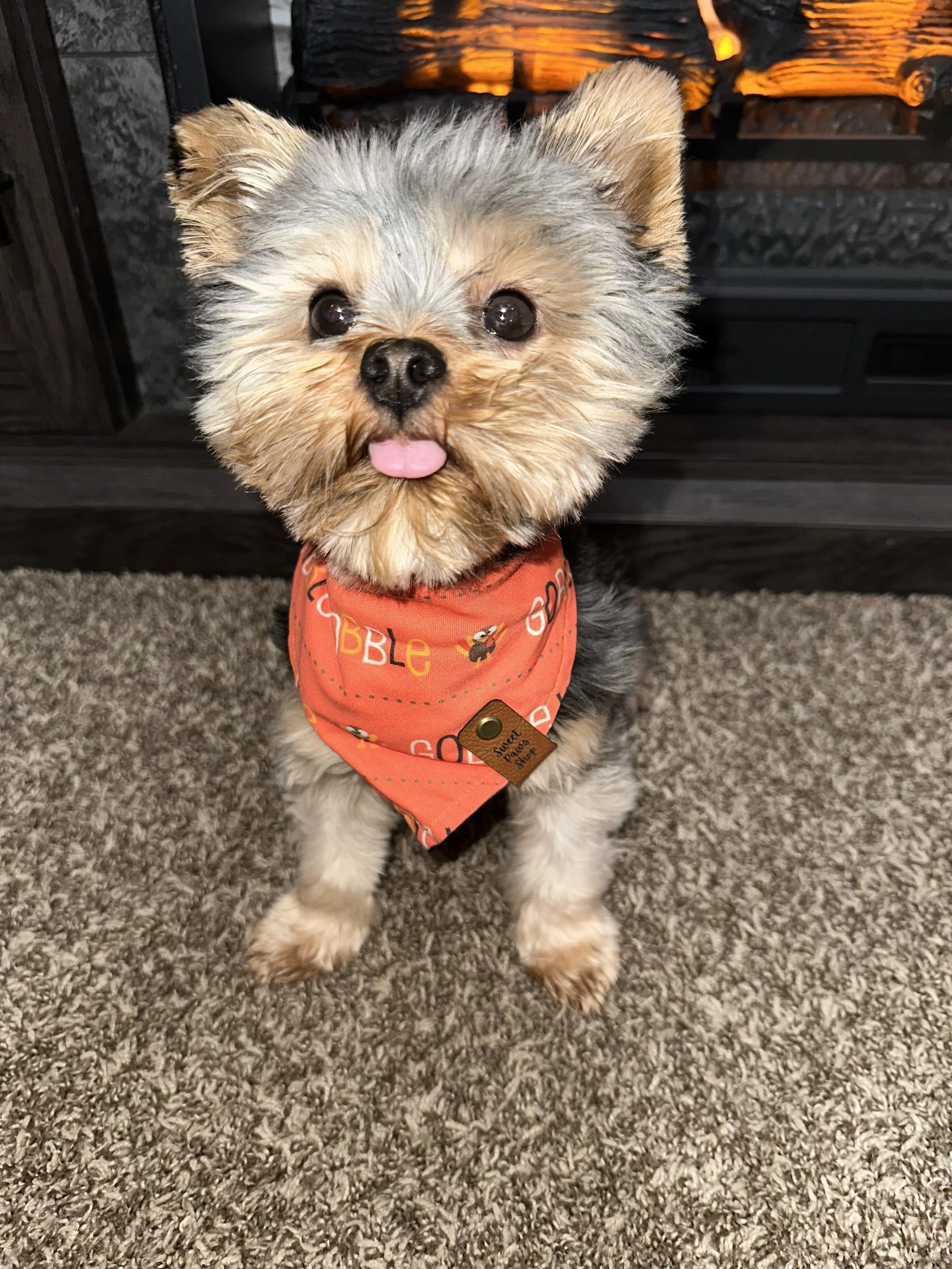 Meet our friends that love Sweet Paws Shop!