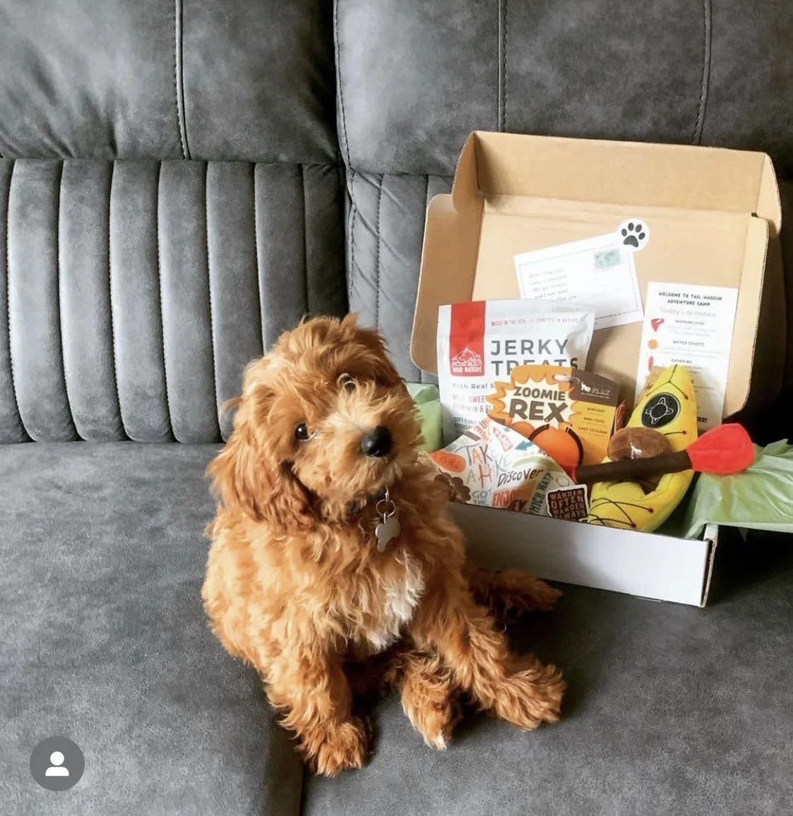 Meet our friends that love Sweet Paws Shop!