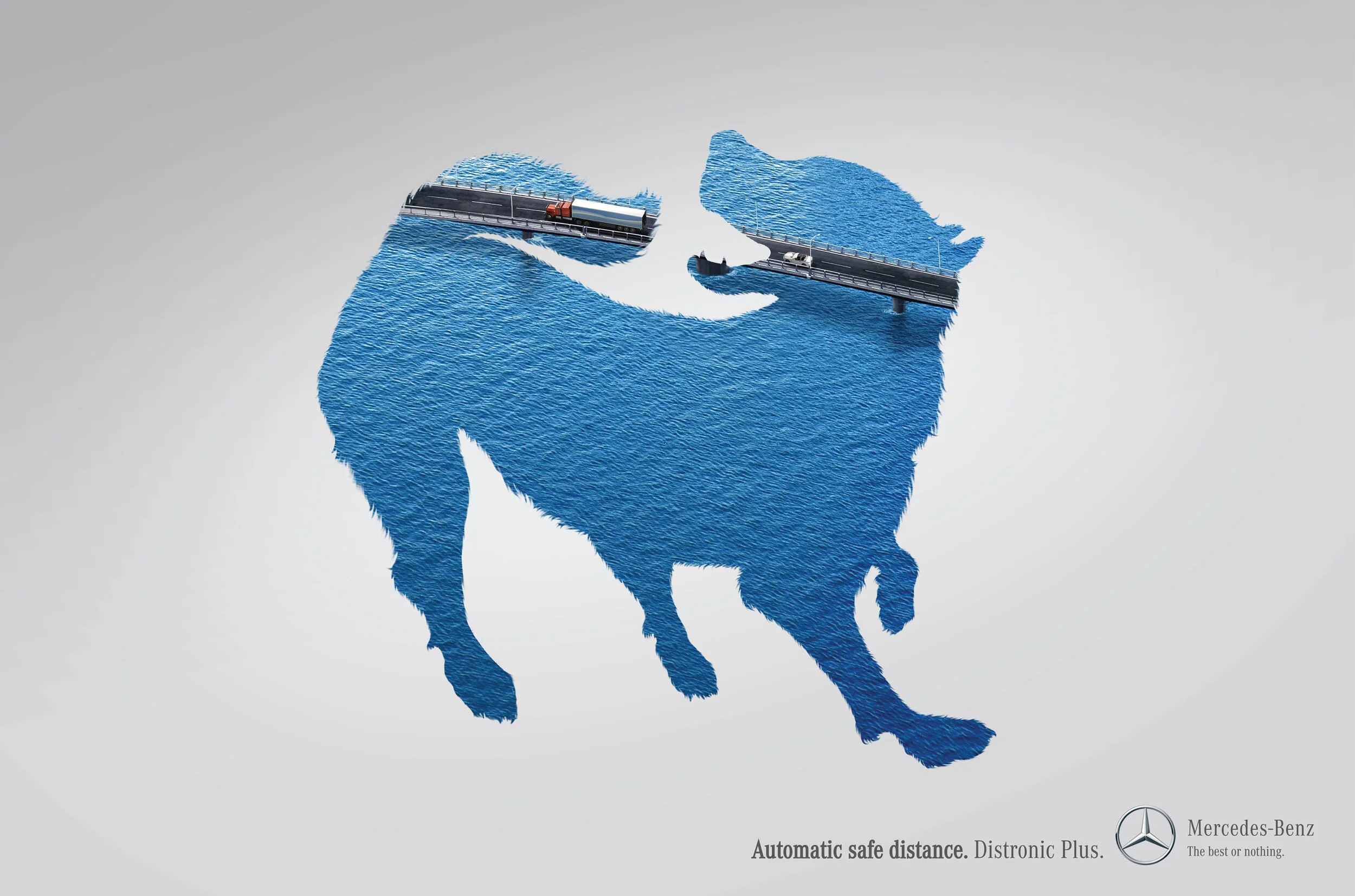 Mer Dog Press web.jpg