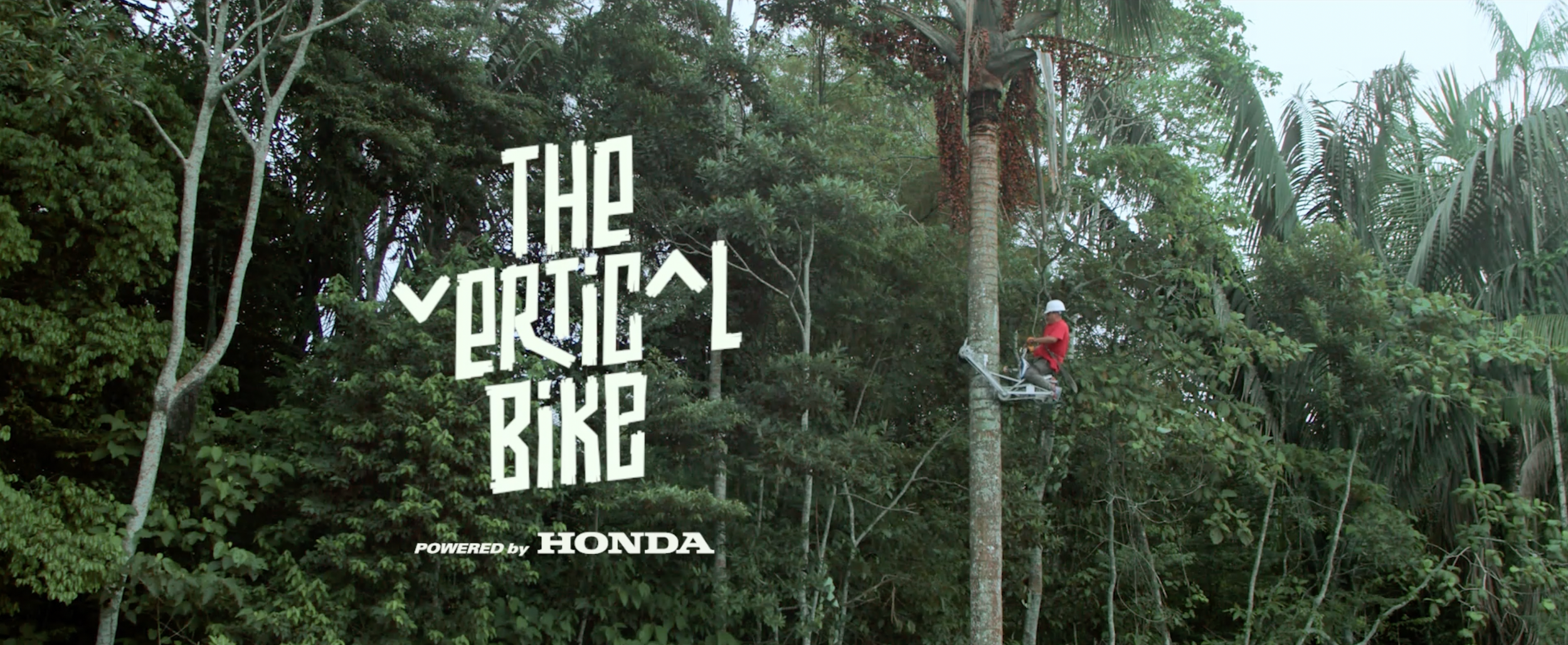 Vertical Bike