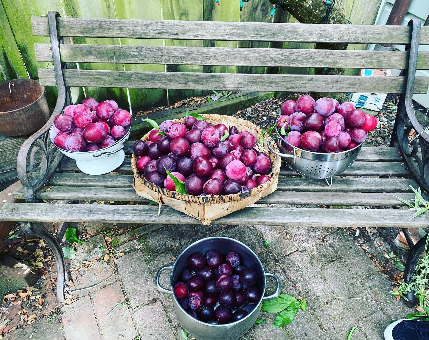 My summer bounty. 
#plumbs#grateful