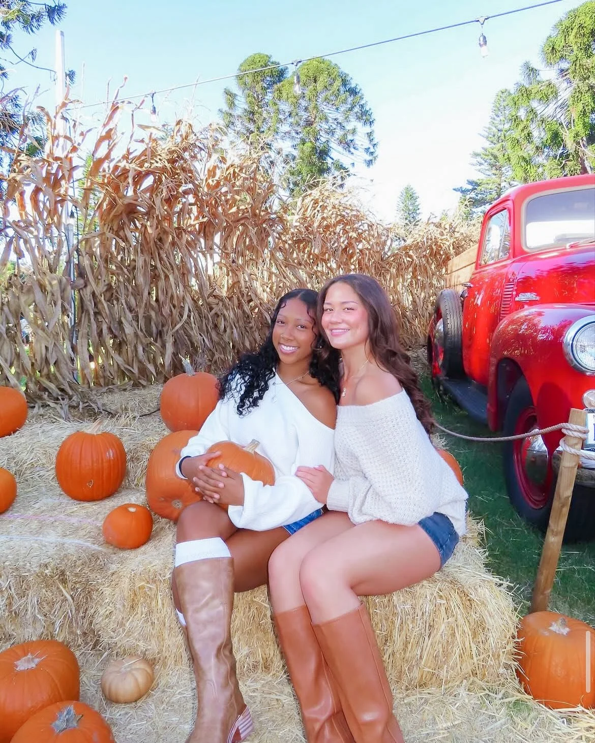 Happy Thanksgiving! Today, we&rsquo;re thankful for our Symphony, our six purposes, and the over 426,000 Sisters we share them with! Tell a Sister why you&rsquo;re grateful for her today 🧡