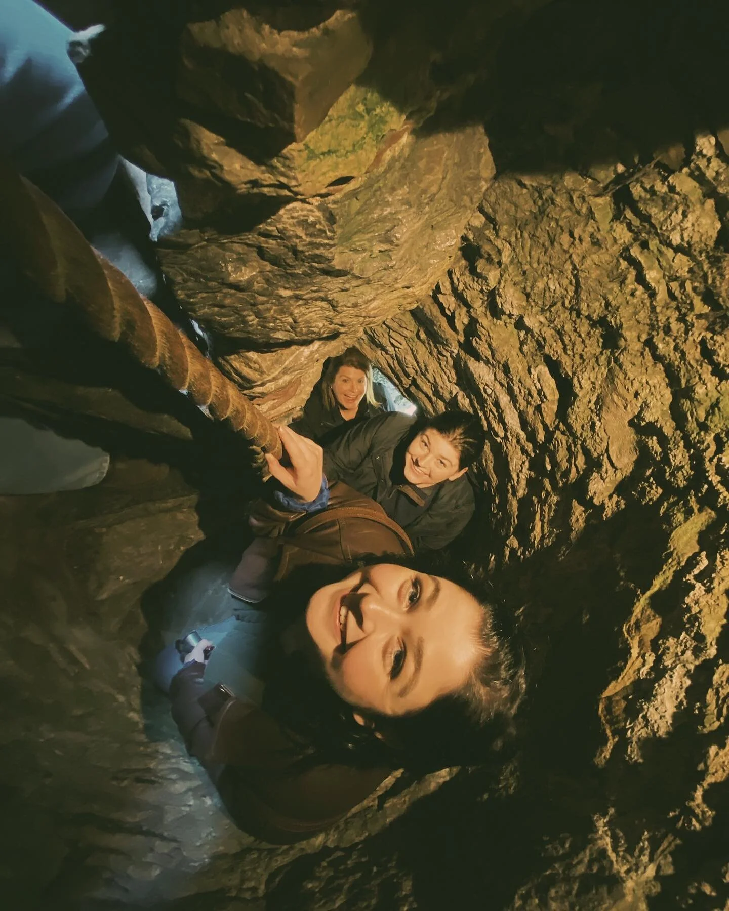 Castles. Cows. Chicken Stuffing Sandwich.