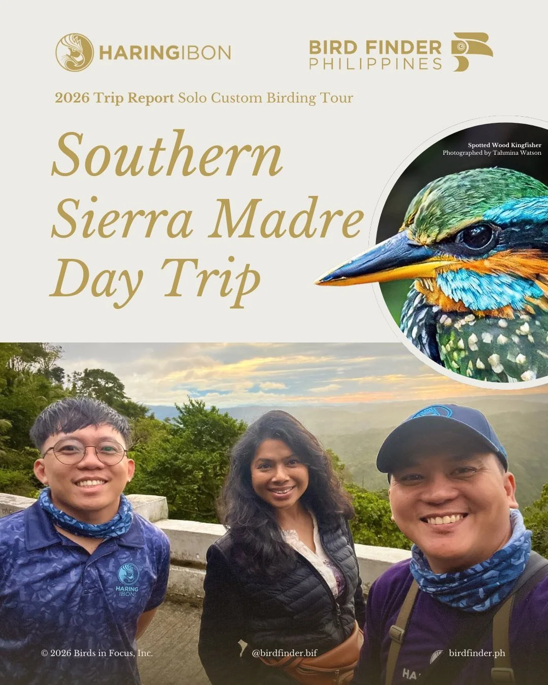 From Makati to the Mountains: A Philippine Birding Adventure
