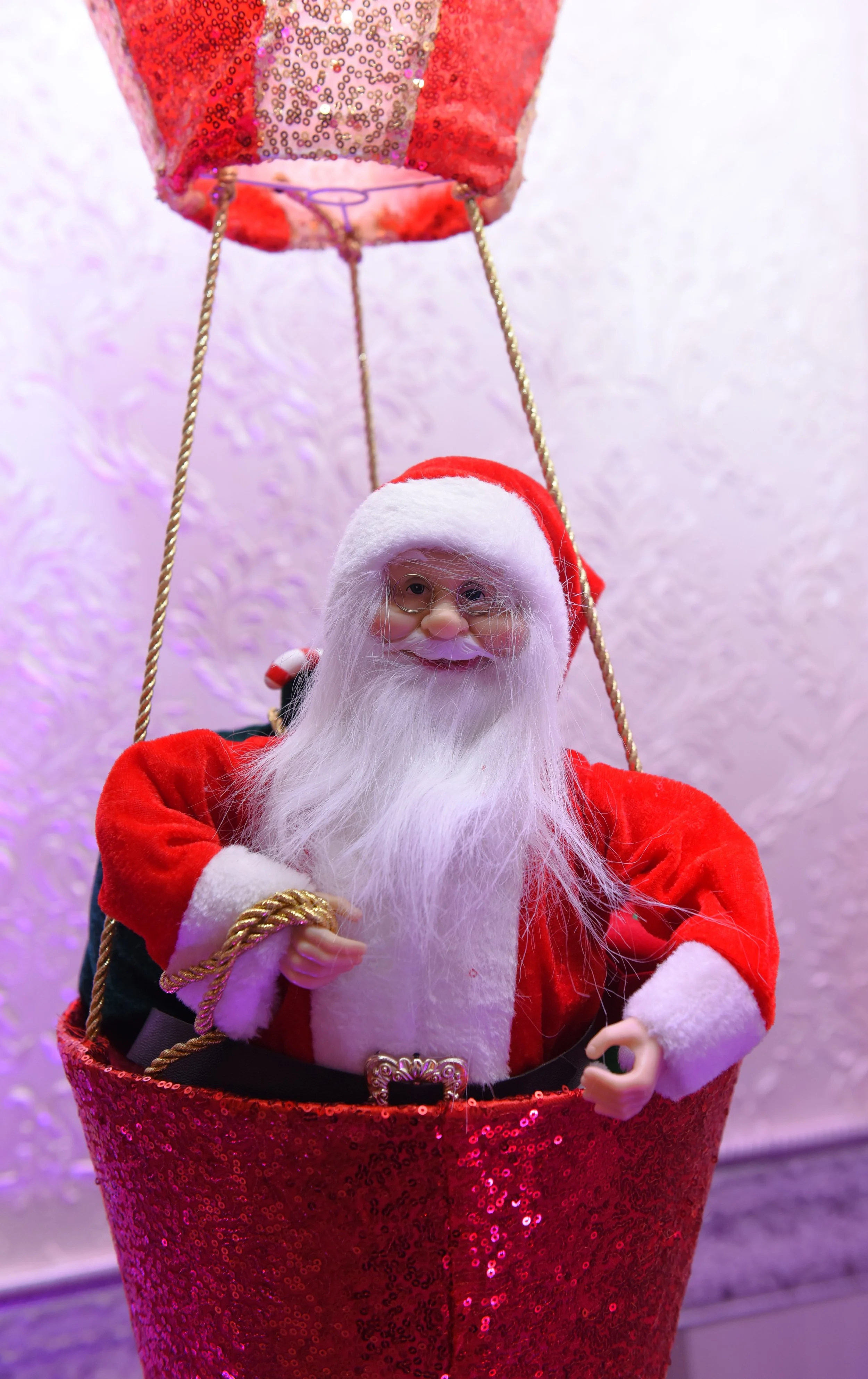 DSC_7175.JPG