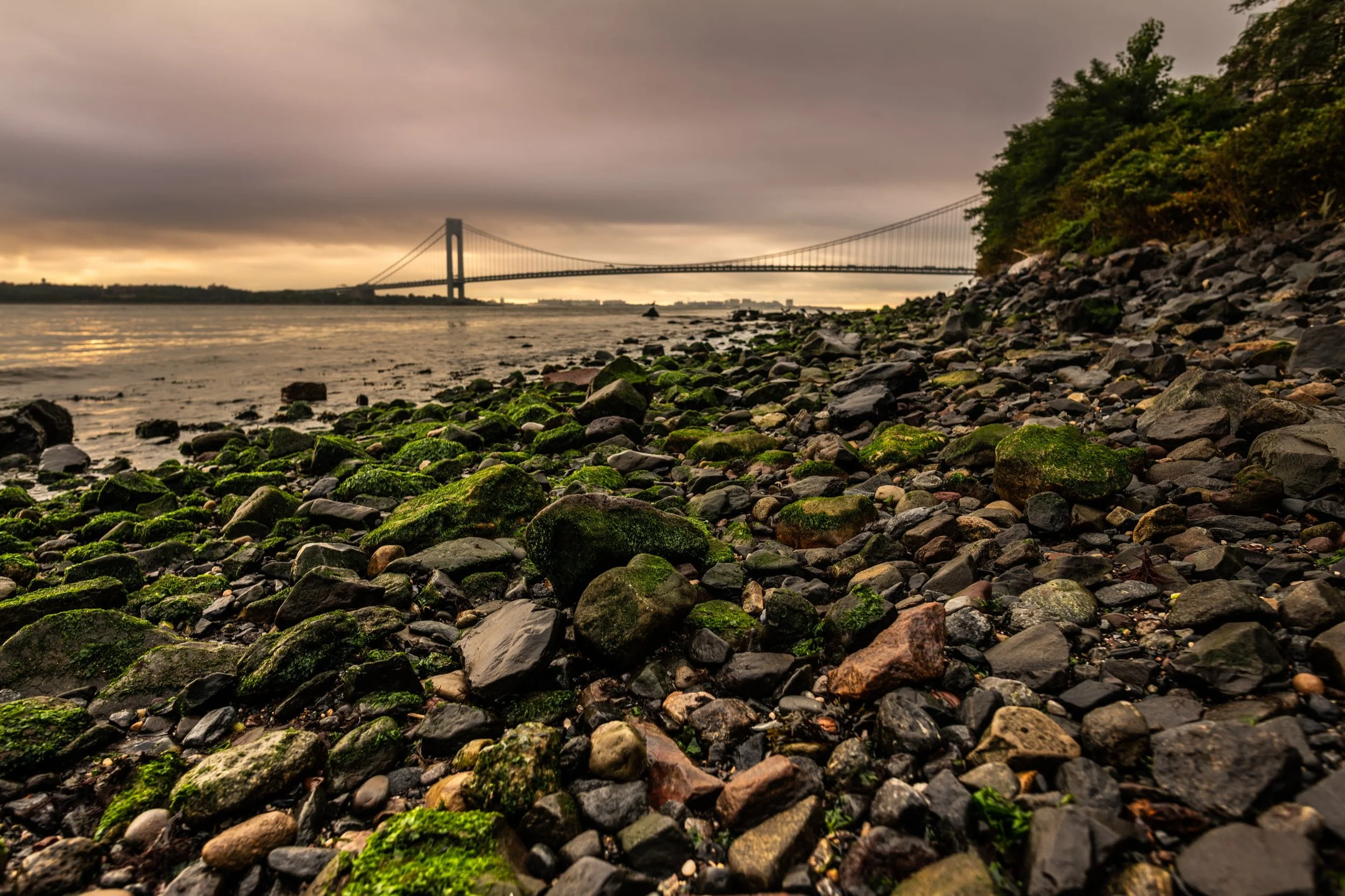 Chamber President Provides Testimony to NYC Council Transportation and Infrastructure Committee 