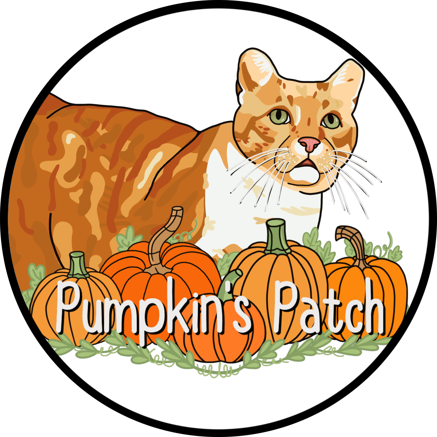 Pumpkin&#39;s Patch