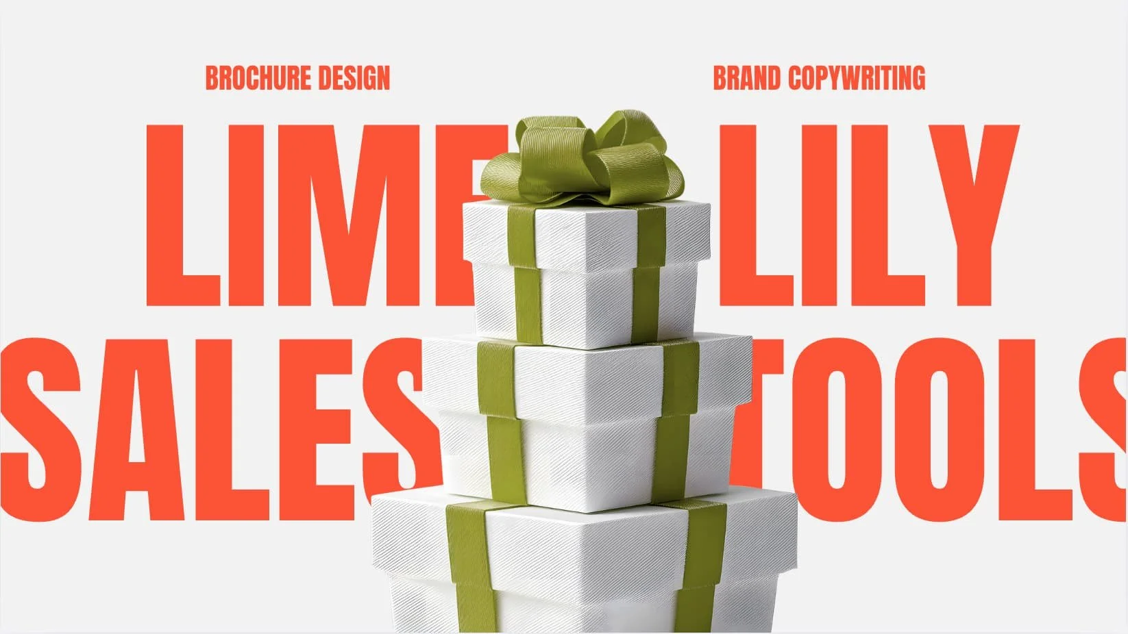 A Fresh Brochure for limelily