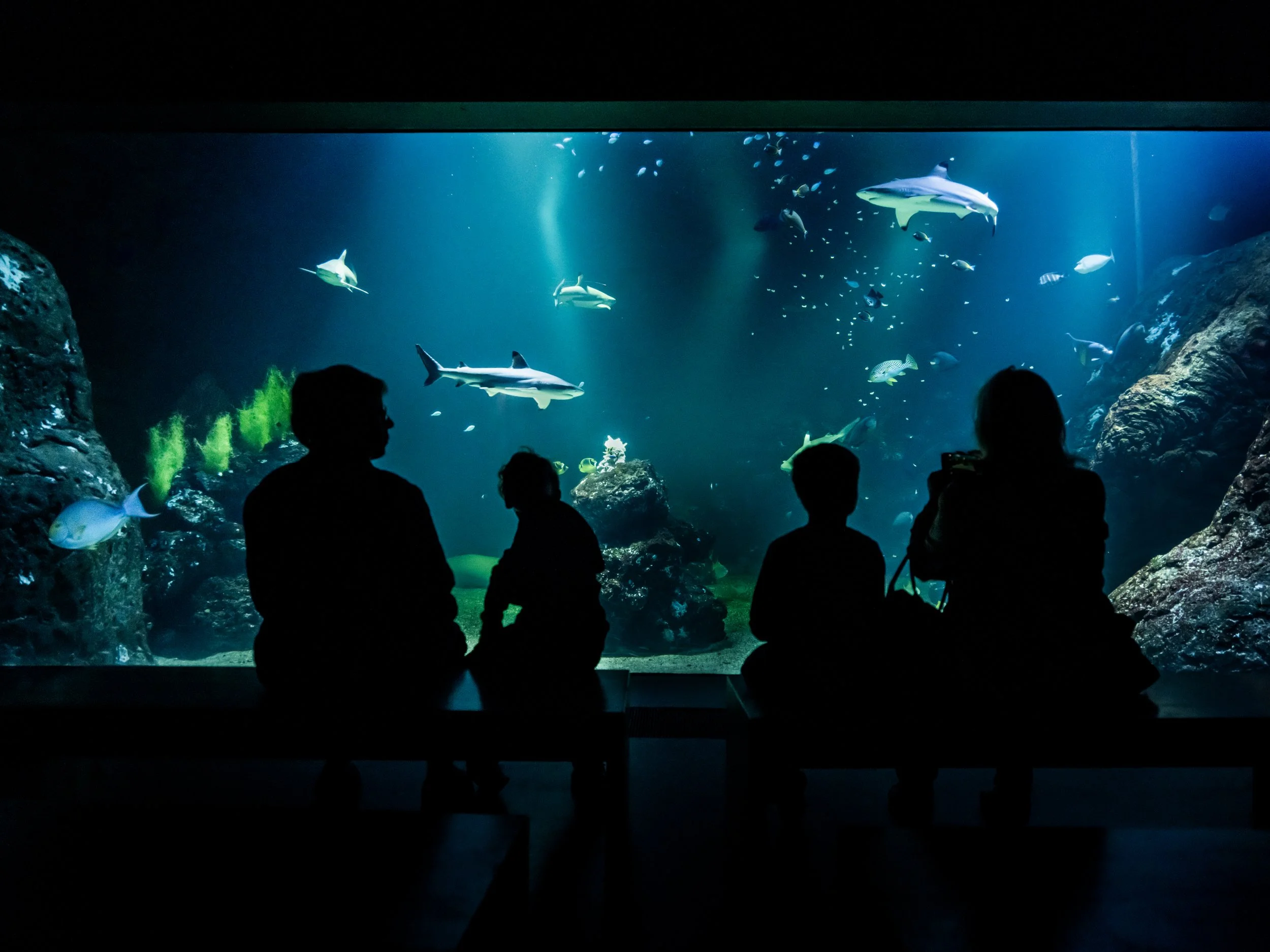 220614_Universeum_Nora_Lorek_0010.jpg