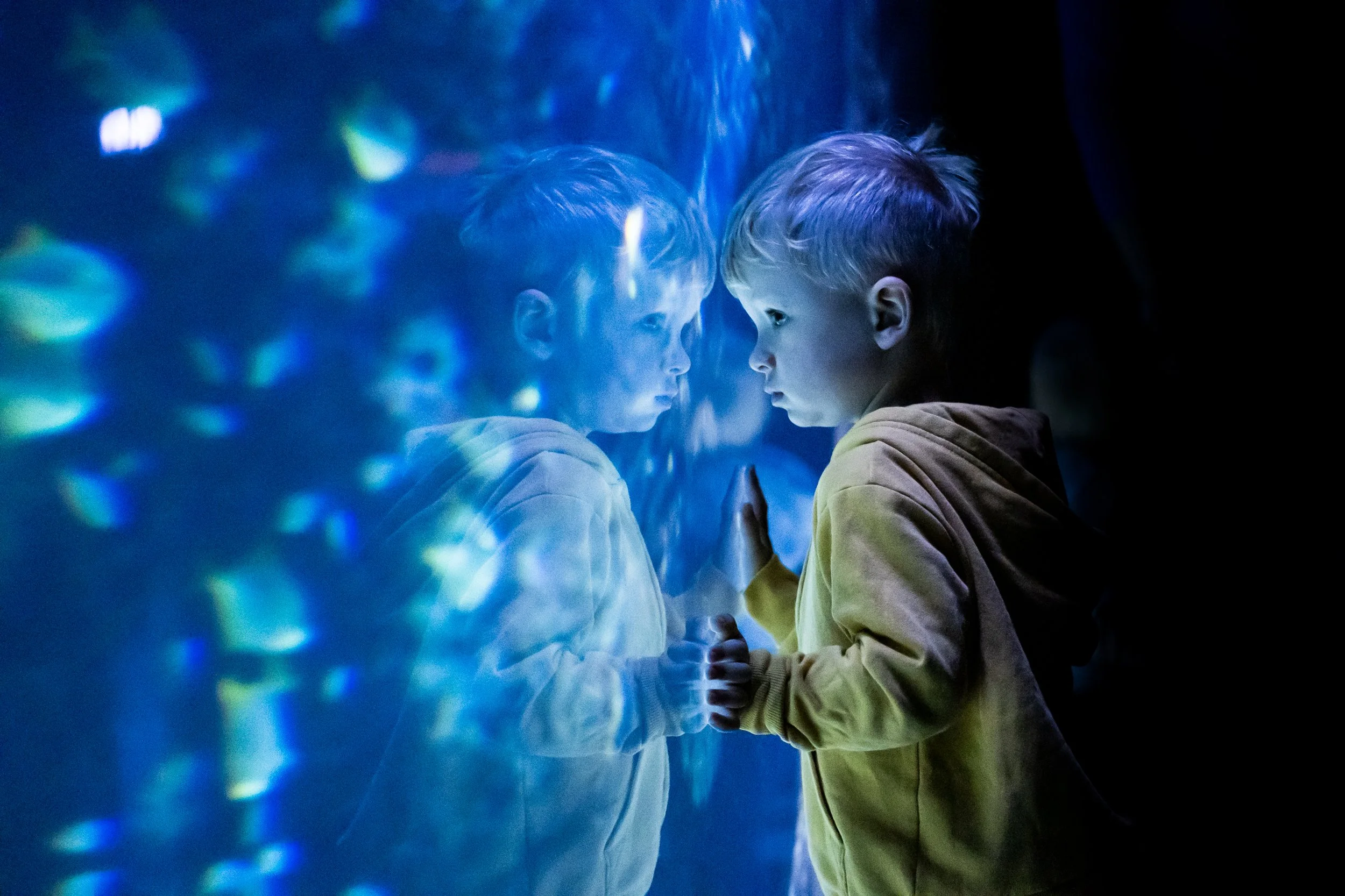 220614_Universeum_Nora_Lorek_0045.jpg