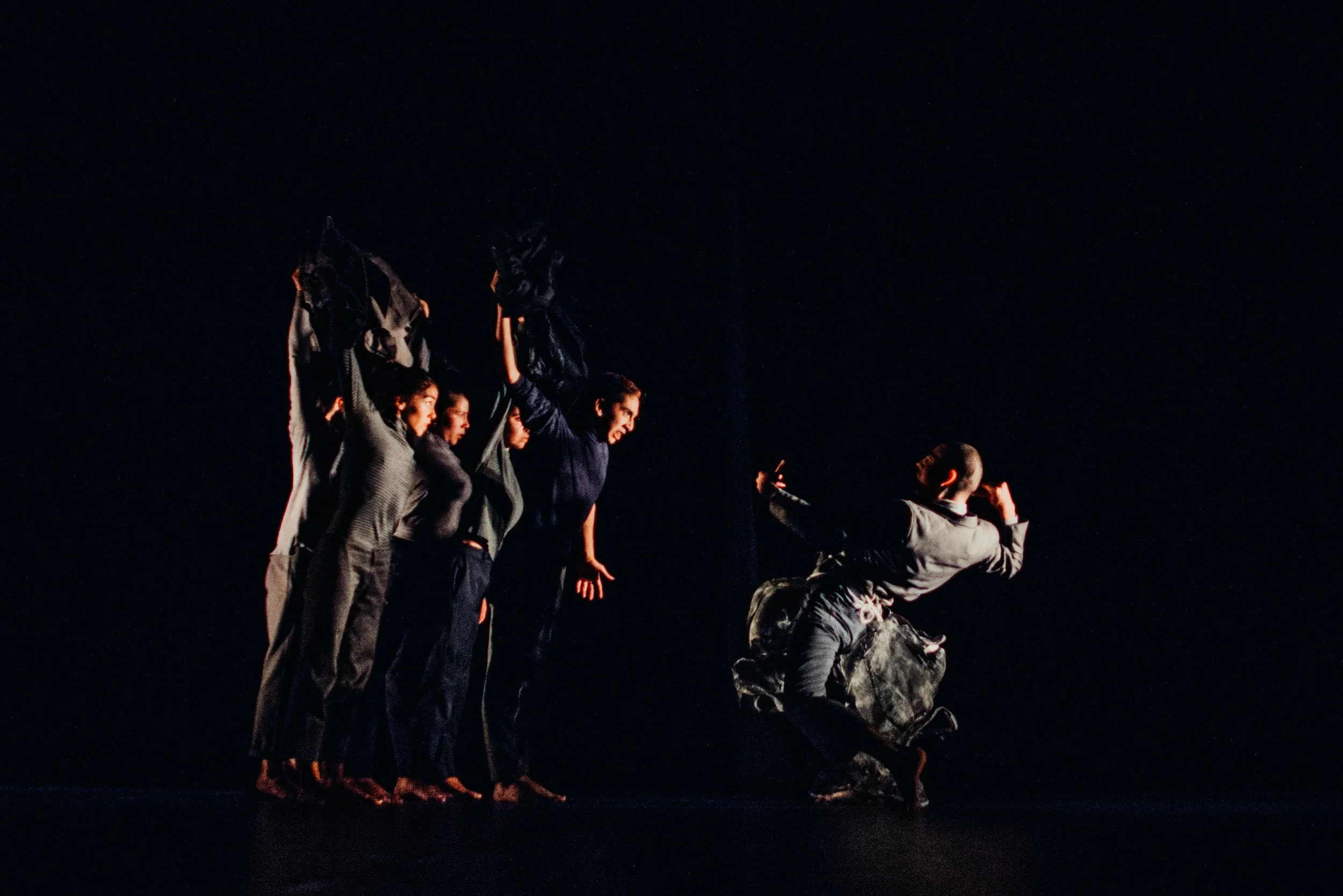 RIZOMA (Balmaceda Arte Joven, Valparaíso).jpg