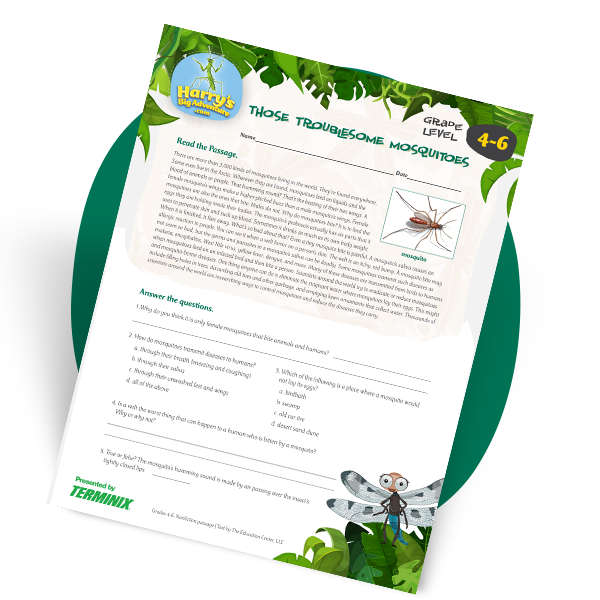 troublesome mosquitos.png