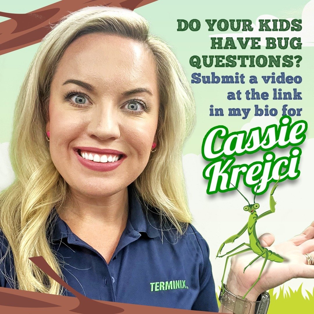 You guys love my Bug Question Series with @cassiethebugdoc so much, I decided to bring it back! Do you or your kids have bug questions for @cassiethebugdoc and me? Submit a video question at the link in my bio, and we&rsquo;ll feature your question i