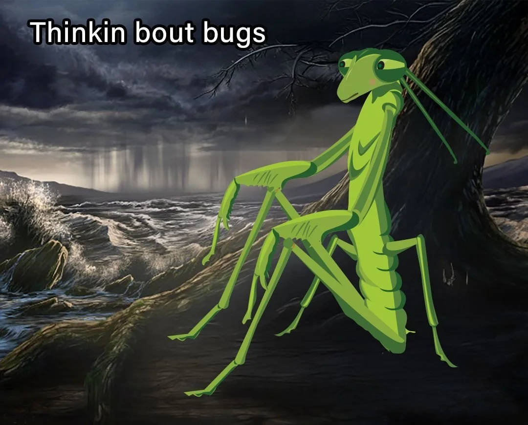 Do you ever just...

#harrysbigadventure #terminix #lovebugs