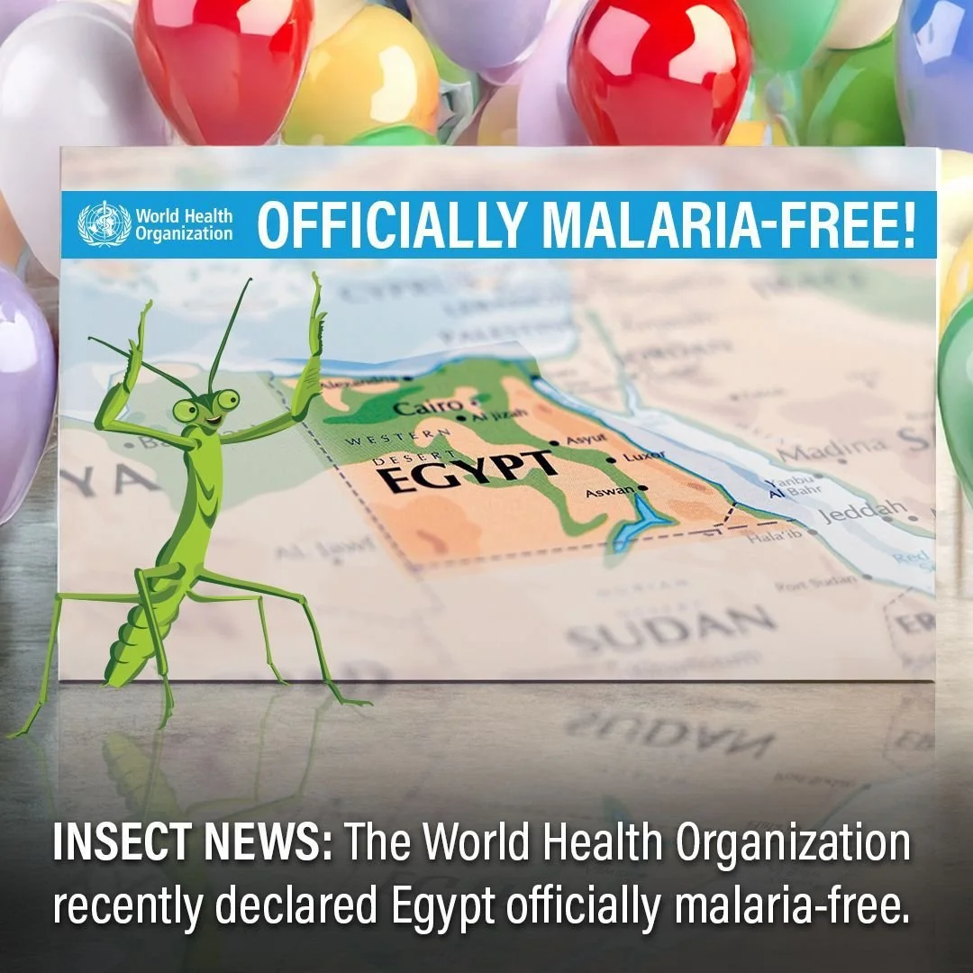 There's some positive news in the fight against Malaria! In October, the World Health Organization officially declared Egypt malaria-free. 

According to @who, malaria has existed in Egypt since 4000 B.C.E., and there's even evidence that King Tut su