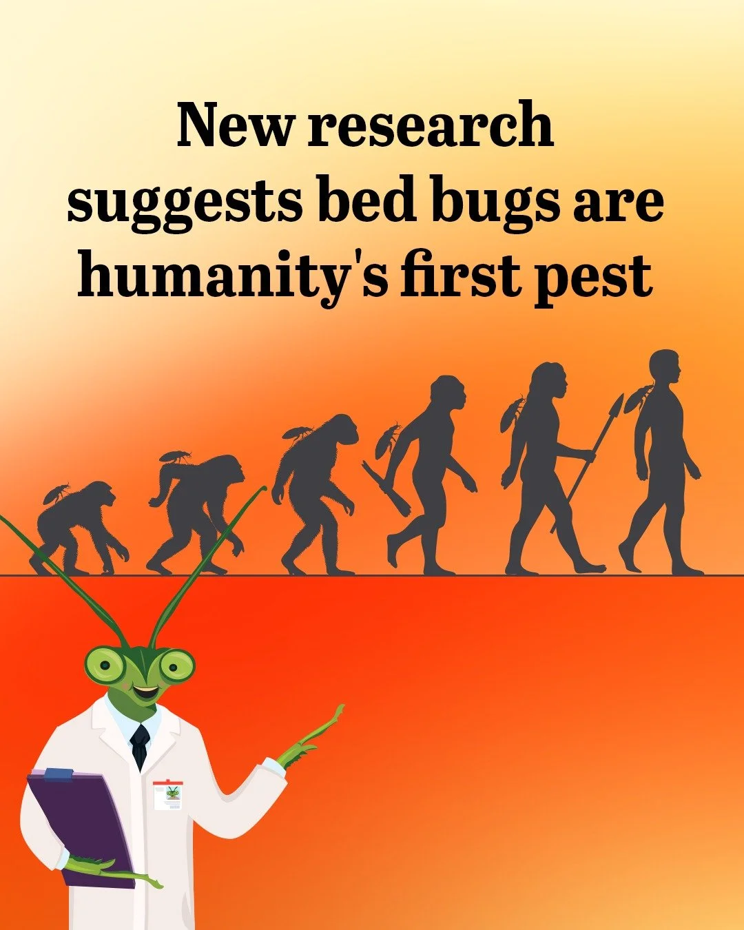 Scientists at @virginia.tech are researching the lineage of bed bugs, and have reached an exciting (or upsetting) conclusion: bed bugs are likely the first human pest!

Evolving from bat bugs around 60,000 years ago, bed bugs are not a new nuisance t