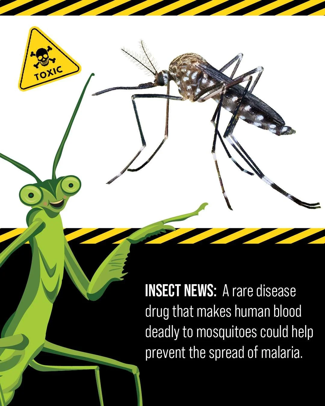 Today is World Mosquito Day, and this year, I'm highlighting a promising study that may help prevent the spread of malaria. 

World Mosquito Day is observed annually to raise awareness of mosquito-borne diseases and support ongoing research and preve