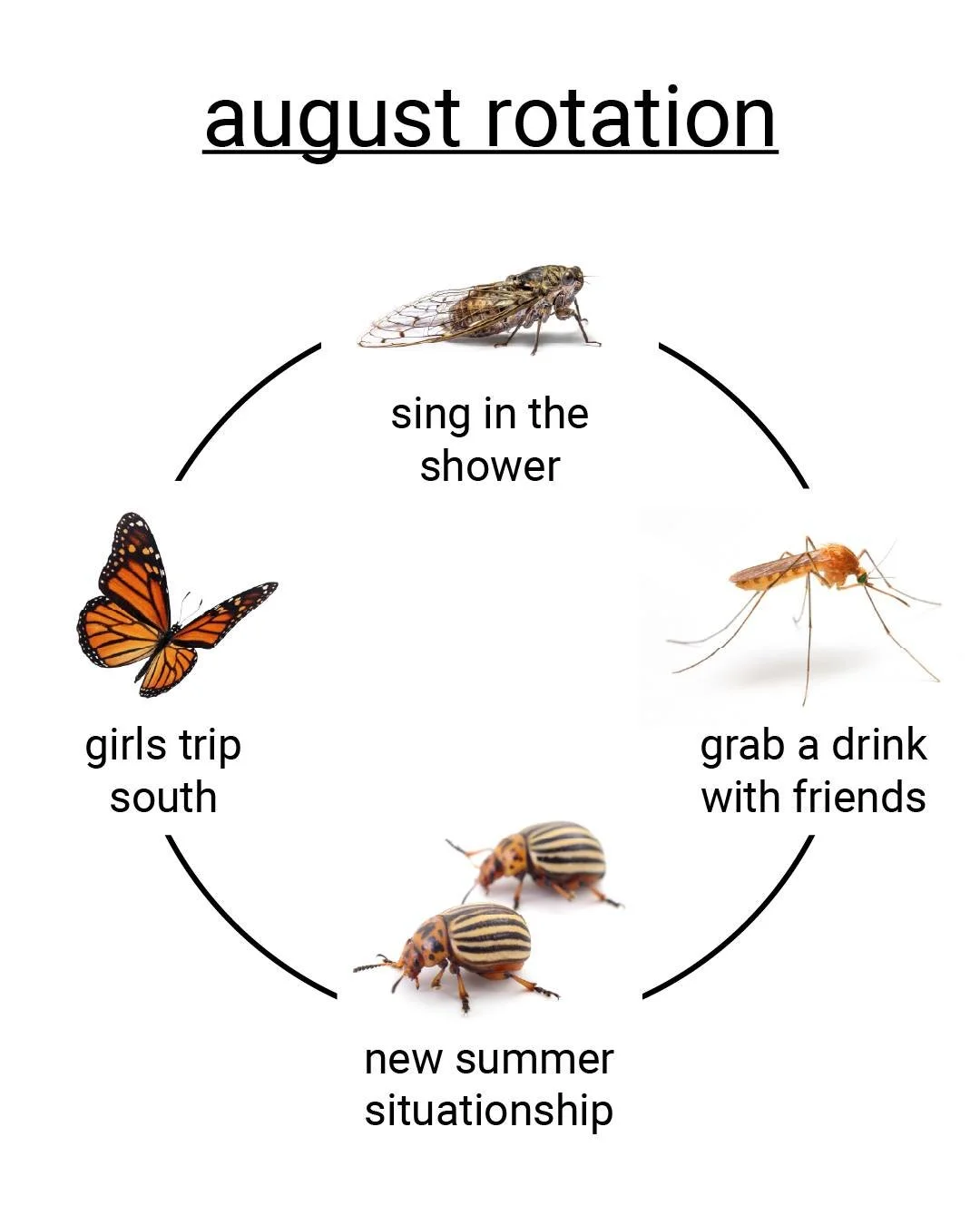 There's nothing like being a bug in August 😎

#harrysbigadventure #terminix #lovebugs