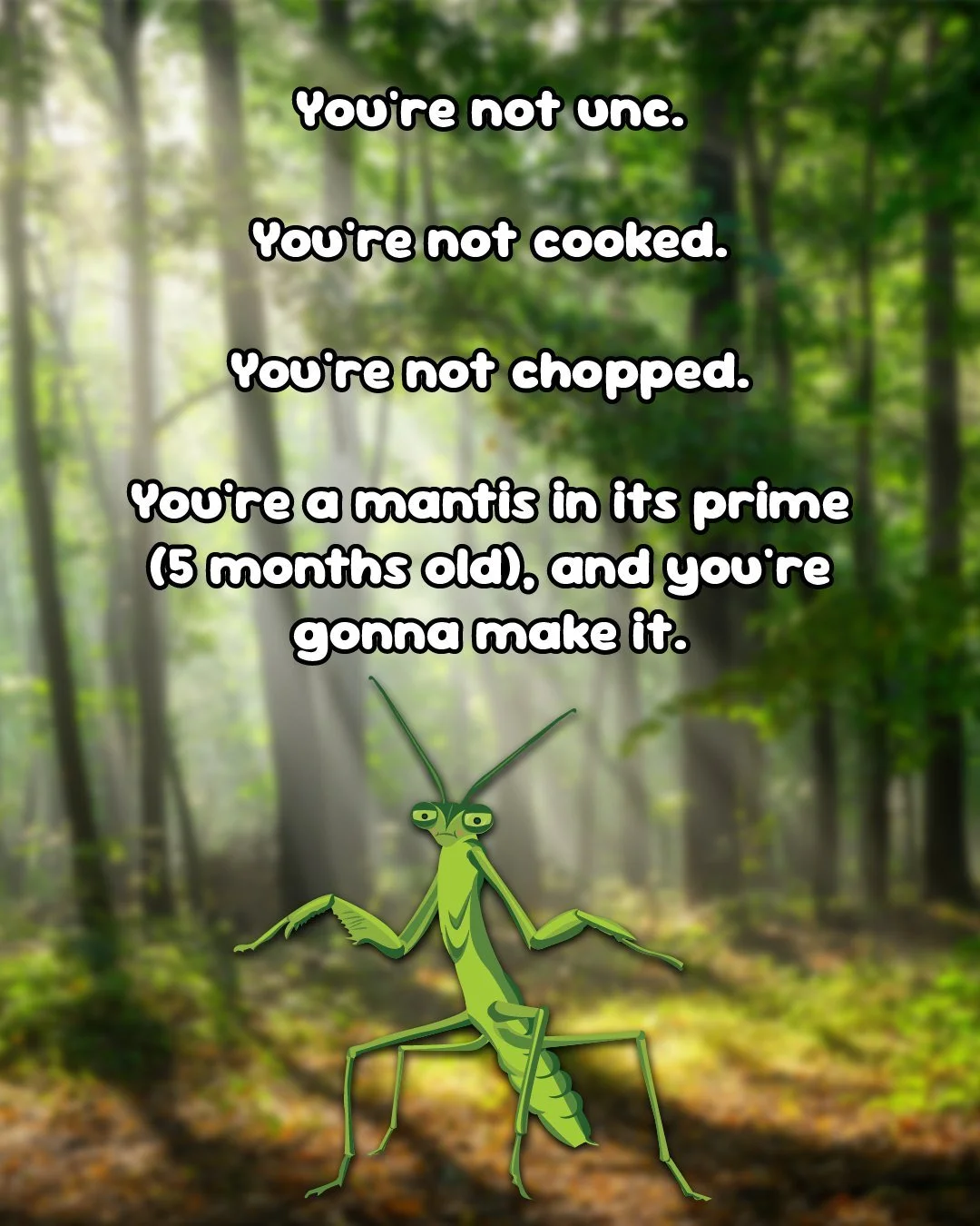 When in doubt, remember who you are (or, alternatively, who I am) 💚

#harrysbigadventure #terminix #lovebugs