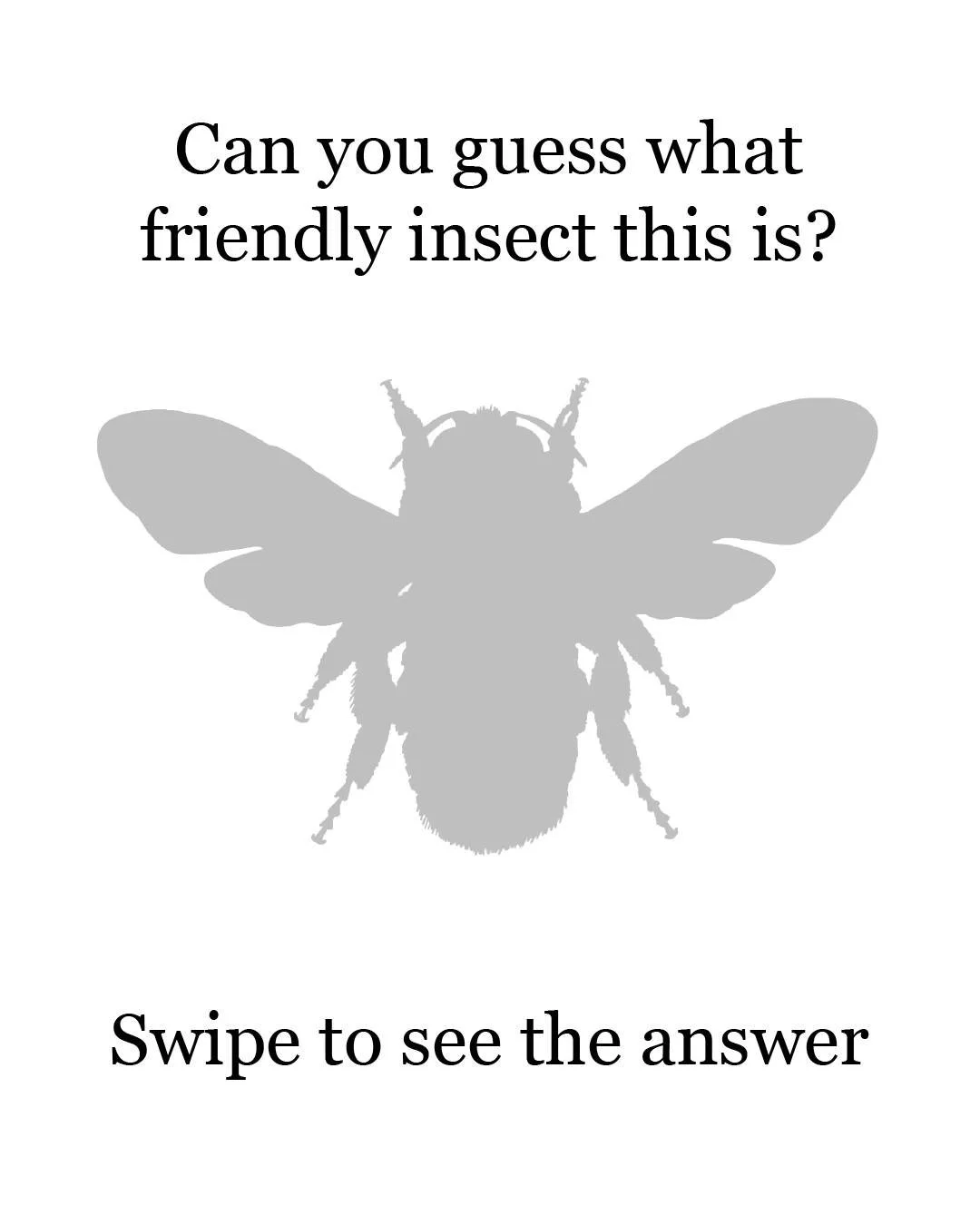 If I know you, you got these right away 🐝🦋

#harrysbigadventure #terminix #lovebugs