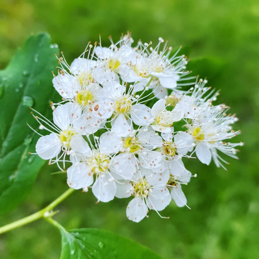 Private walk in Czech Republic