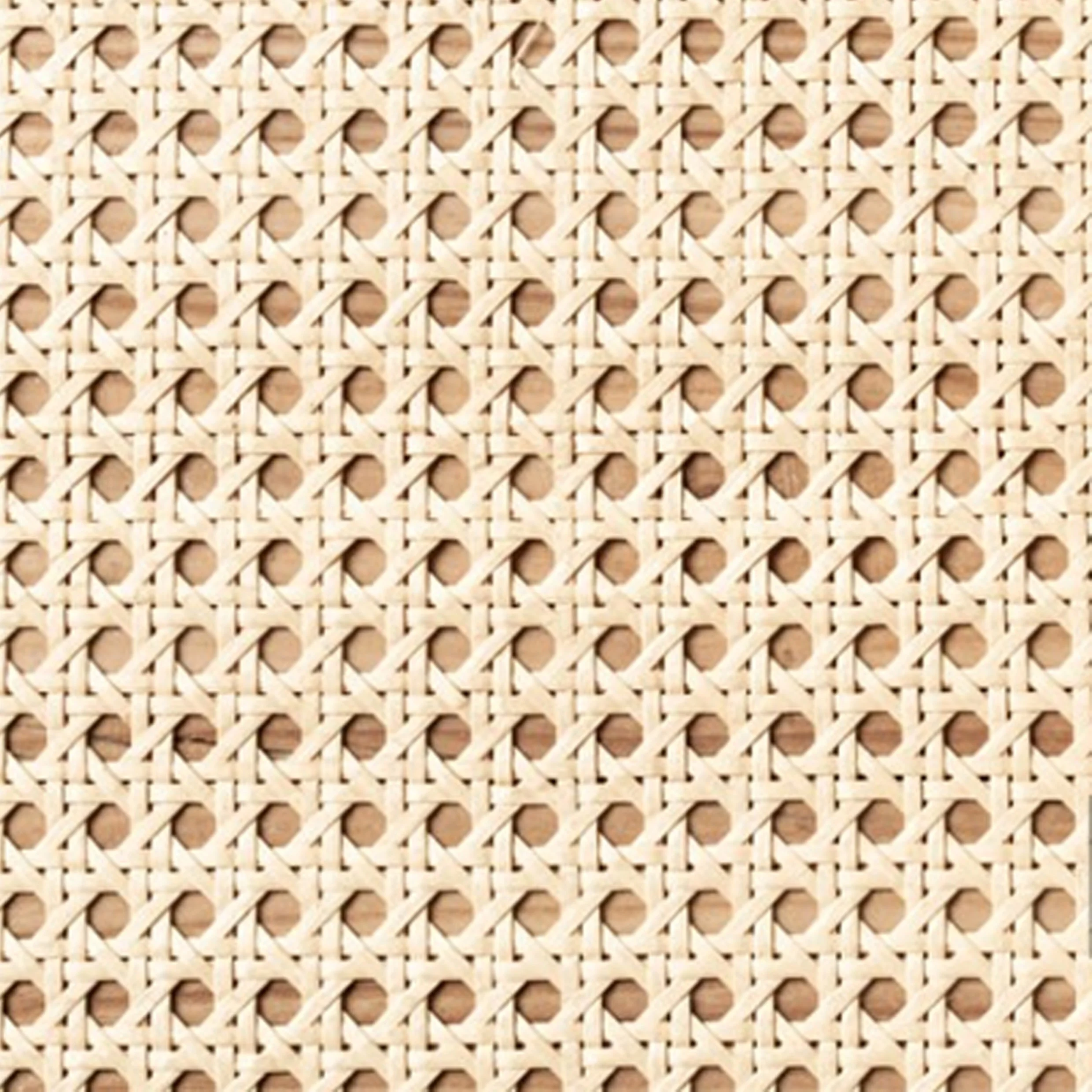 rattan d.jpg