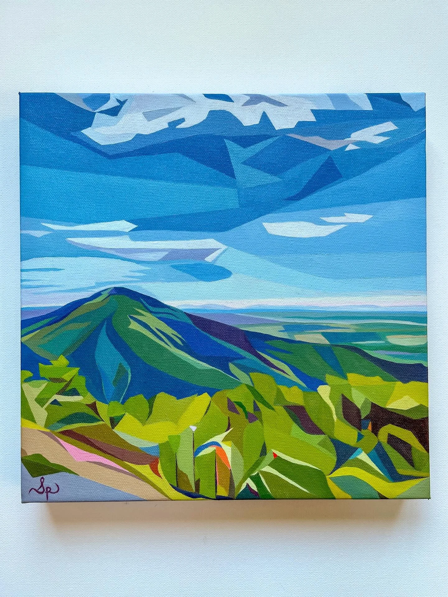 Here&rsquo;s a view from the Skyline Drive, the 105-mile drive along the crest of the Blue Ridge Mountains in Shenandoah National Park, Virginia.

Any title suggestions?
12x12&rdquo;
Oil on canvas 

#artistswork #artistslife #localart #localartist #v