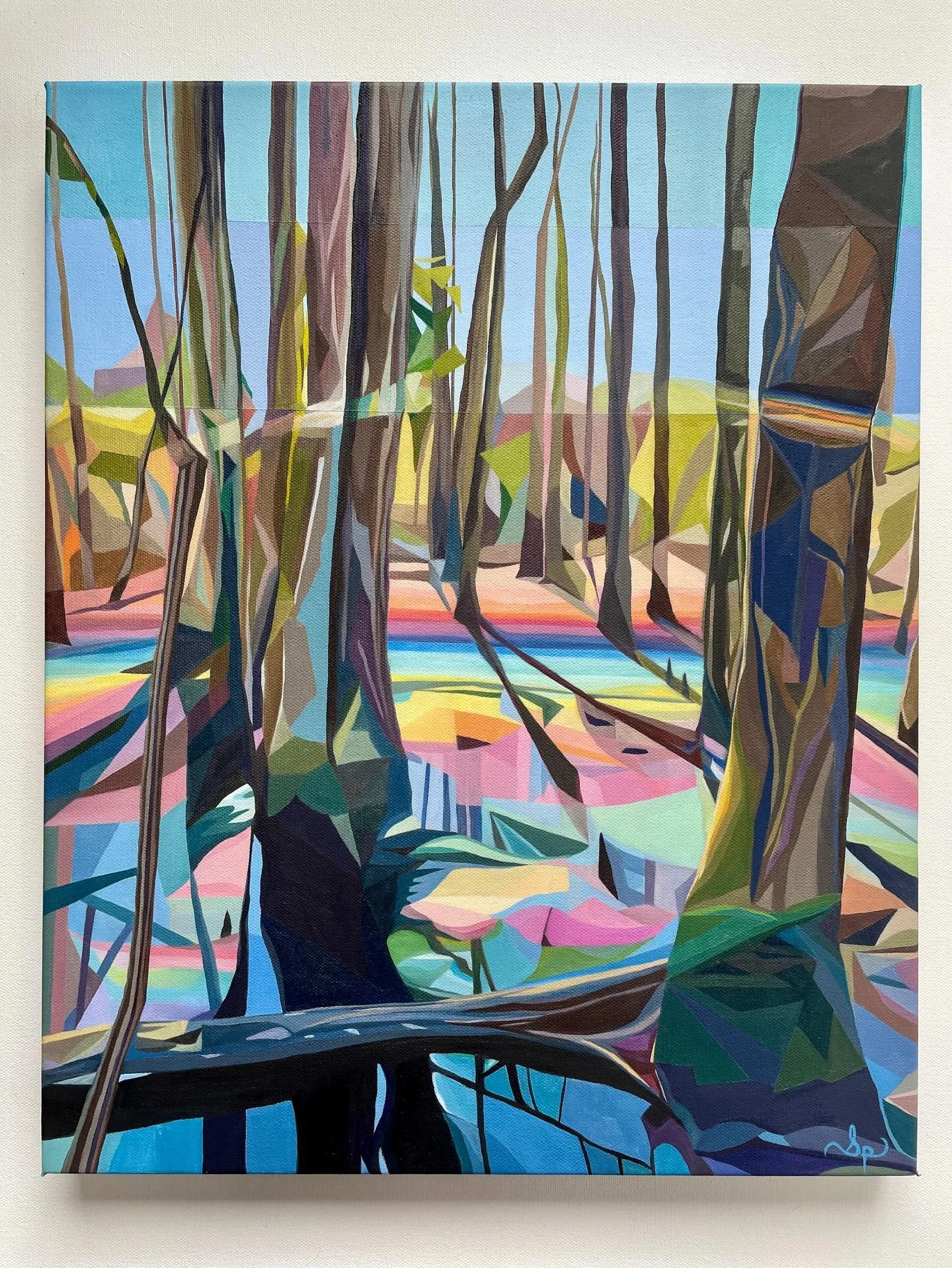 The &ldquo;Rainbow Swamp&rdquo; is a, seasonal, natural phenomenon in First Landing State Park, Virginia, specifically along the Bald Cypress Trail, where decaying leaves from bald cypress trees create a colorful, prismatic sheen on the water&rsquo;s