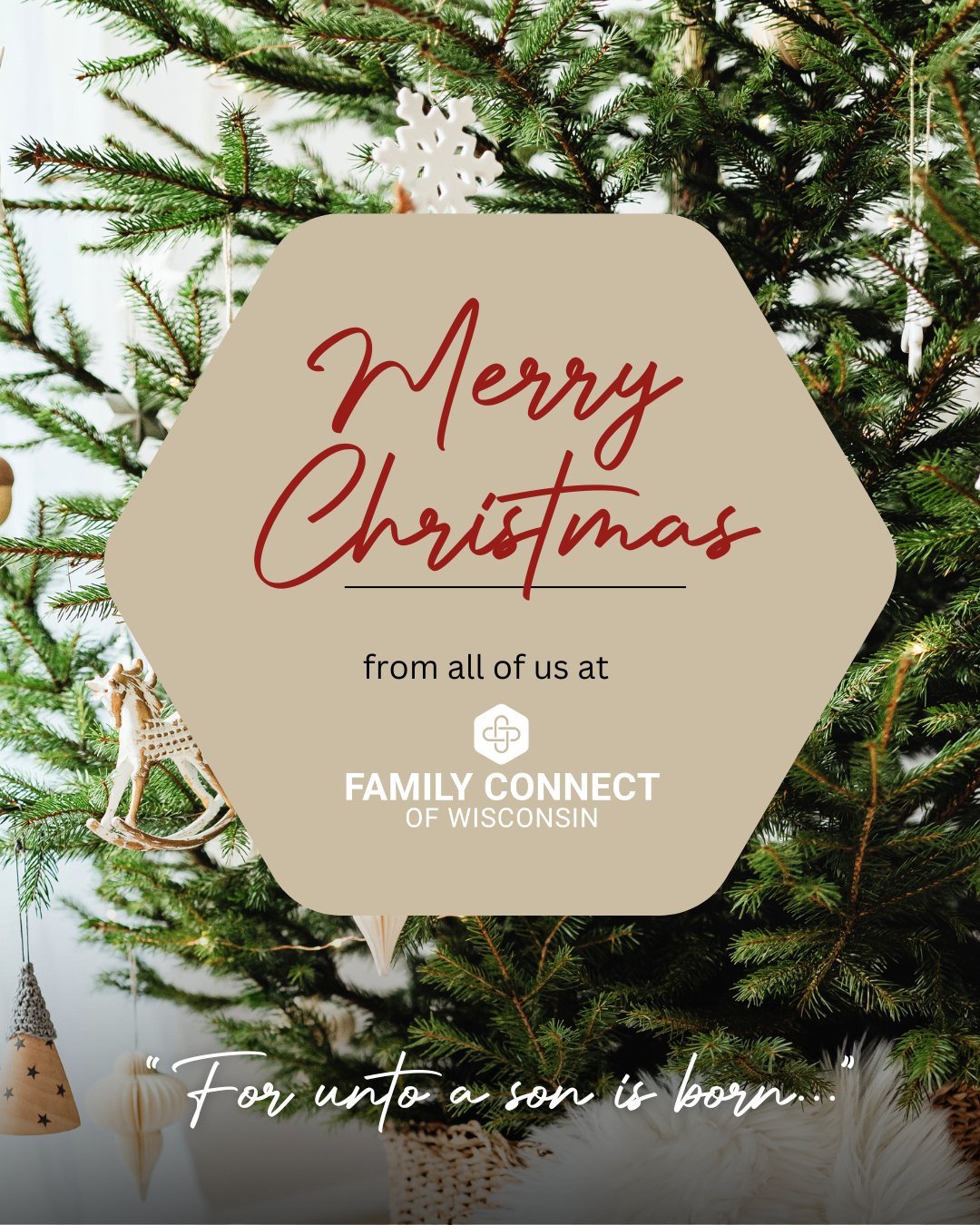 As we celebrate the coming of Jesus into this broken world, we are so grateful to all who help to bring His peace, love, and hope to children and families across our state. 

Thank you for being part of this community that is actively caring for fami