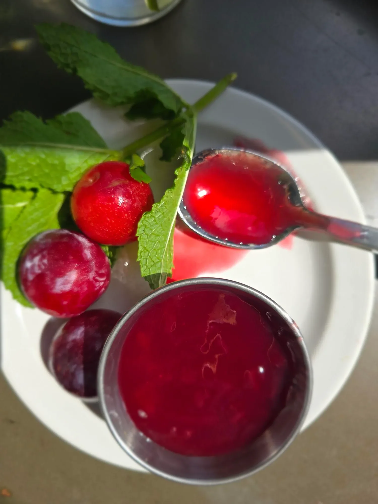 Plum Perfect: An Orchard-to-Glass Cocktail Experience