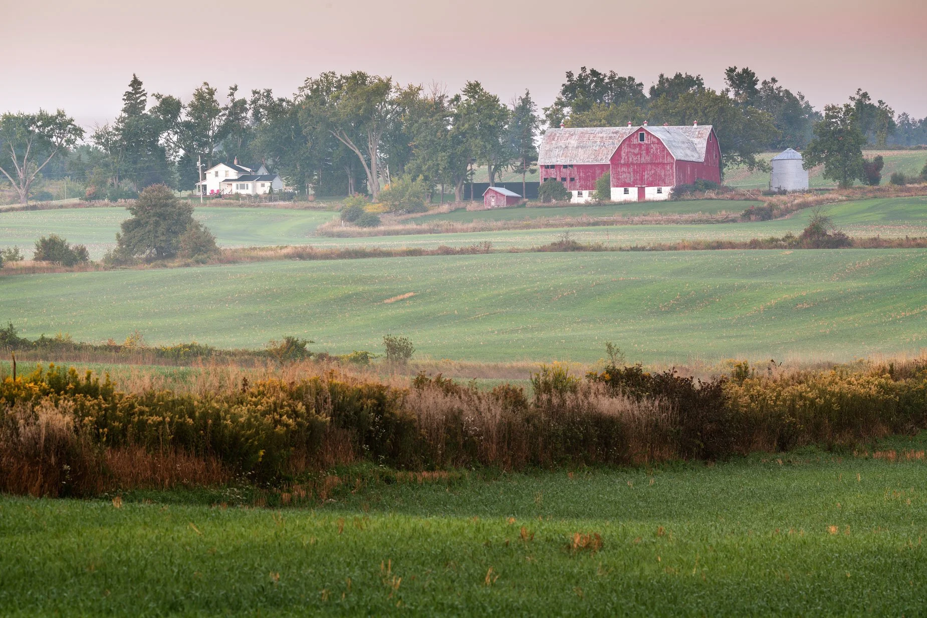 Early Fall Farm 24