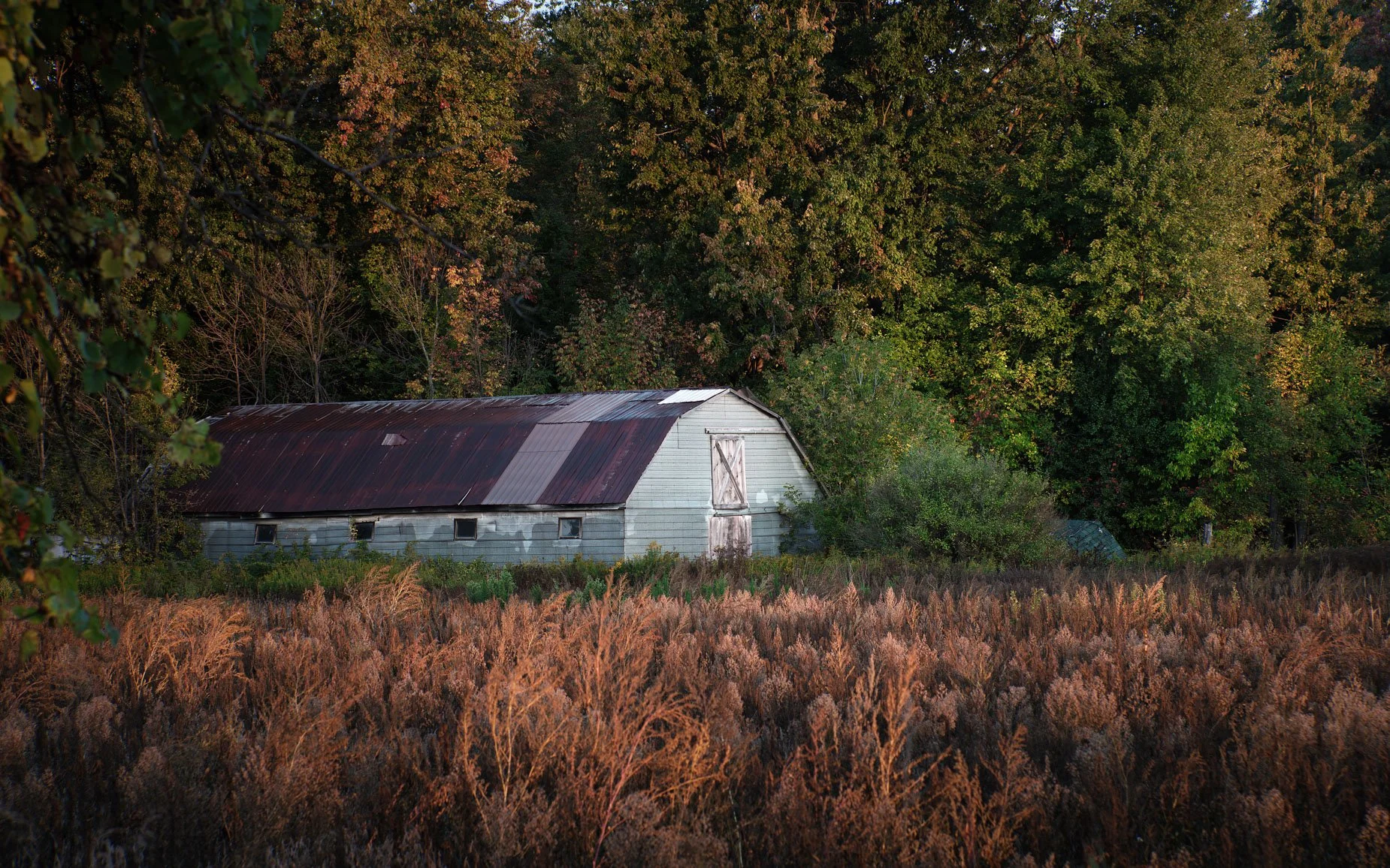 First Light On The Shed 542