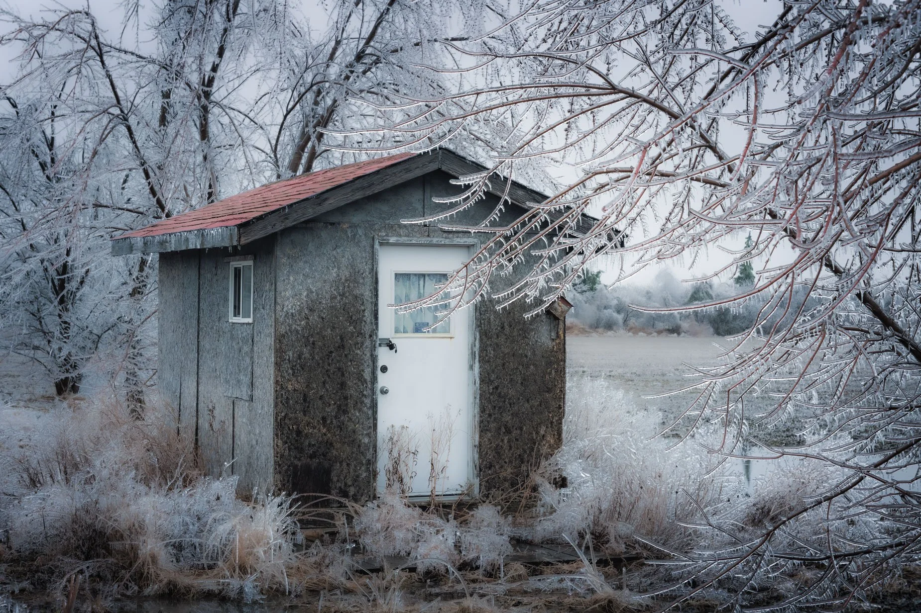 Ice Storm 966