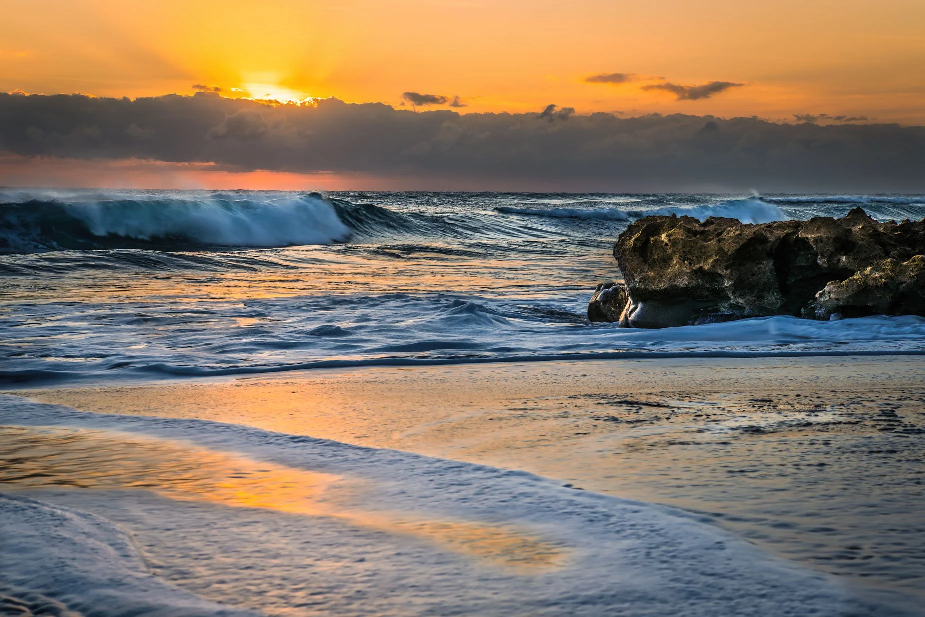 Coral Cove 791