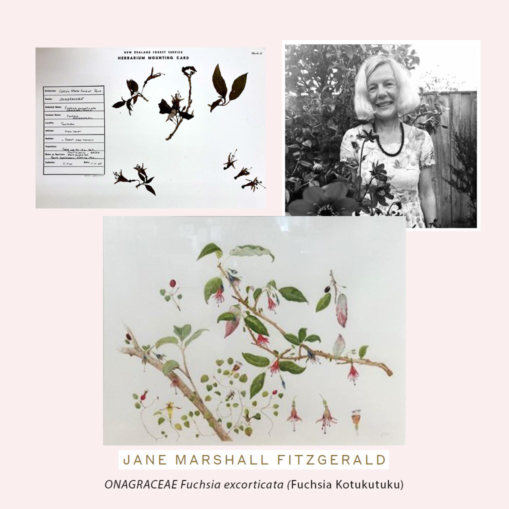 Jane Marshall Fitzgerald.jpg