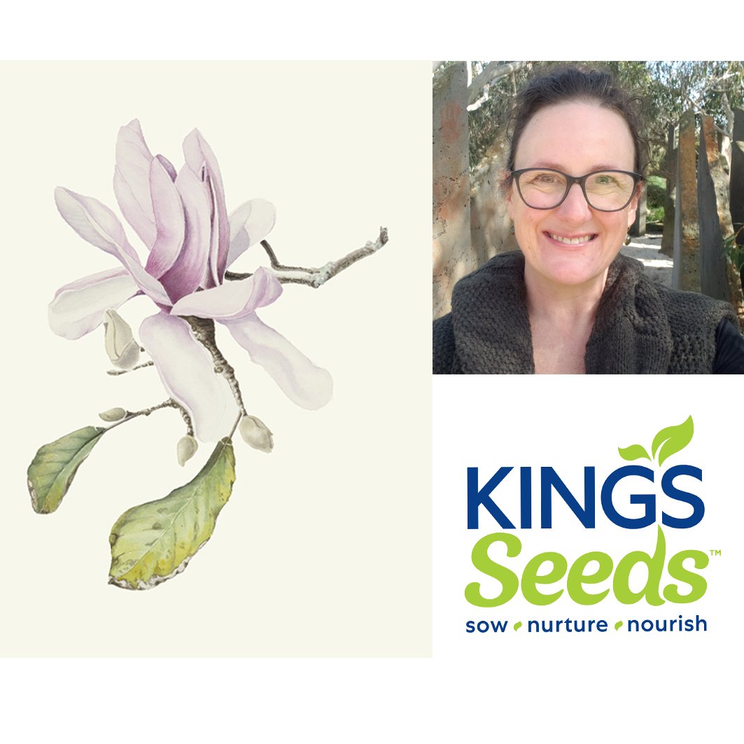 Jennifer Duval-Smith is Kings Seeds featured artist for May and as such a print of her gorgeous Magnolia Starwars watercolour was part of  Kings Seeds give-away earlier in the year.

Jennifer is an internationally exhibiting botanical watercolour pai
