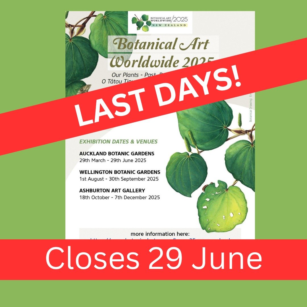 Last days to view this superb exhibition at Auckland Botanic Gardens! Don't miss out!

#botanicalartworldwide2025 #botanicalart #nzart #nzartist #aucklandbotanicgardens #botanicalartsocietyofnewzealand #artexhibitions #whattodoinauckland @aucklandbot