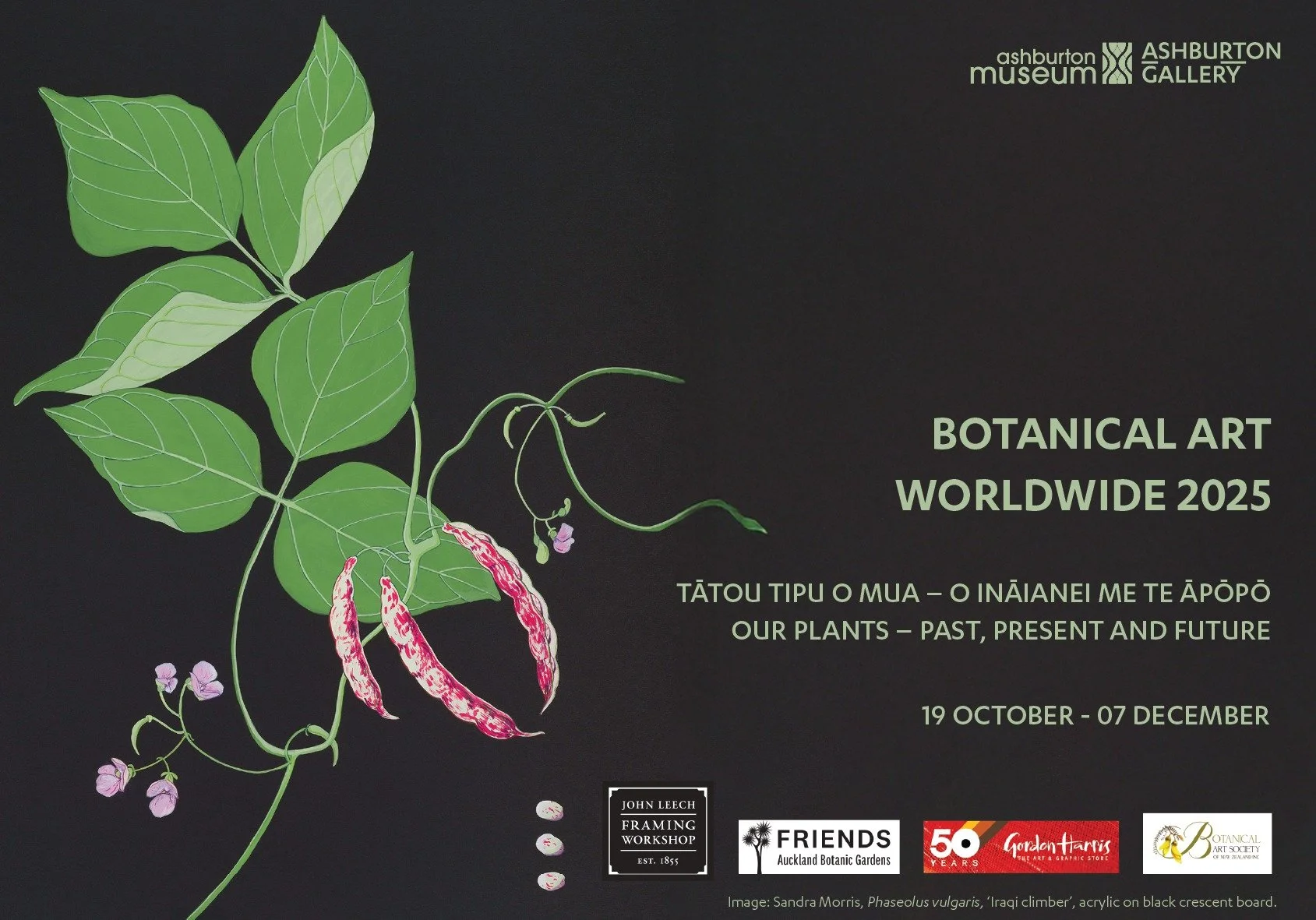 Our exhibition, 'Our Plants: Past, Present and Future - O Tātou Tipu o Mua - o Ināianei me te Āpōpō', New Zealand's contribution to Botanical Art Worldwide 2025 is now showing at Ashburton Art Gallery.
It's official opening went very well with delici