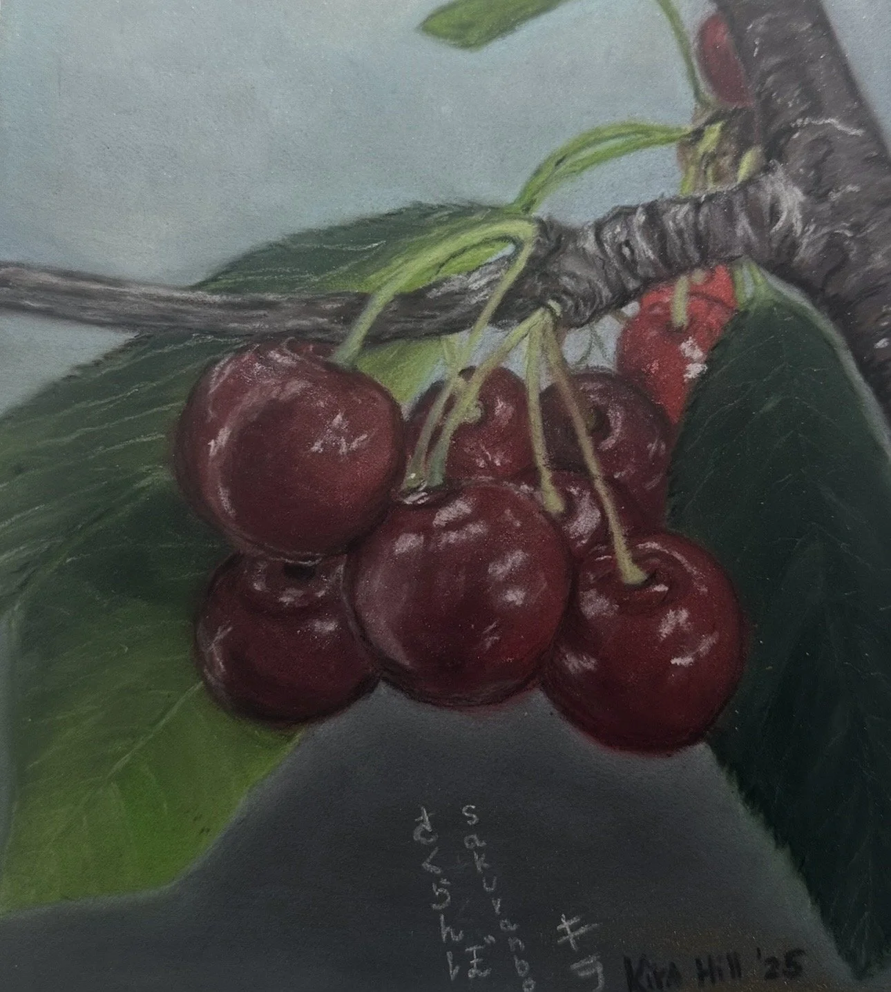 Cherries - pastels and pastel pencils
