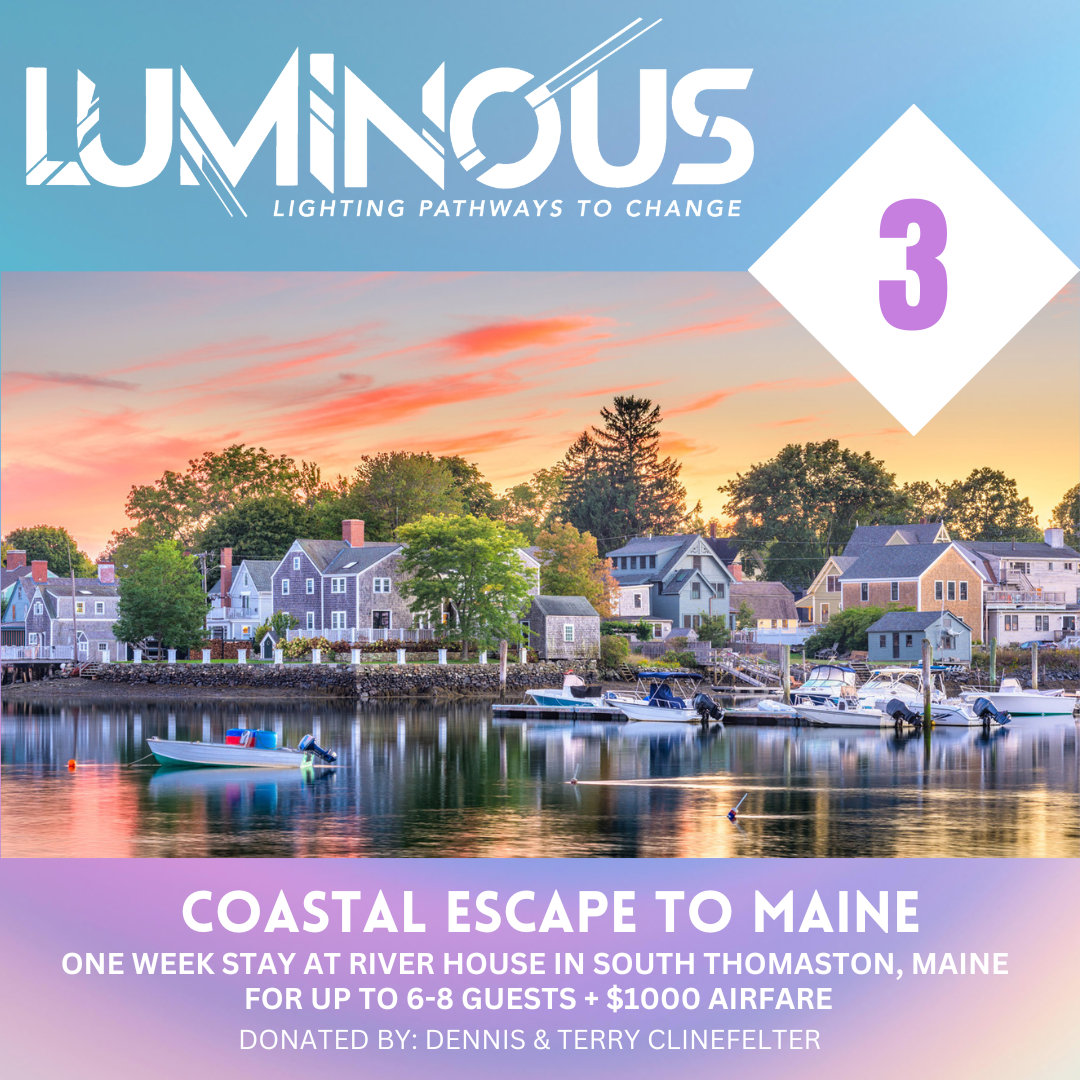 A promotional flyer for the 20th anniversary gala of Luminous, celebrating lighting pathways to change with a live auction. The flyer features a close-up of a diamond necklace and a woman receiving a luxury med spa treatment.
