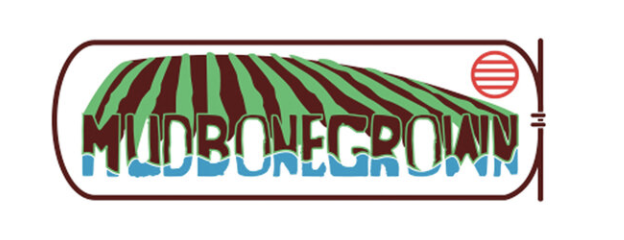 Screen Shot 2021-10-27 at 12.37.30 AM.png