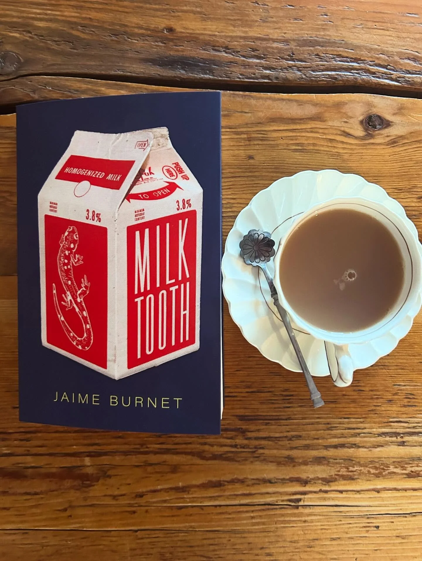 Everyone should read milktooth&mdash; it was incredible. It follows Sorcha, a queer woman in her early thirties who meets Chris, a partner who has flaws, yes, but doesn&rsquo;t everyone? What follows is a descent into the dizzying, isolating experien